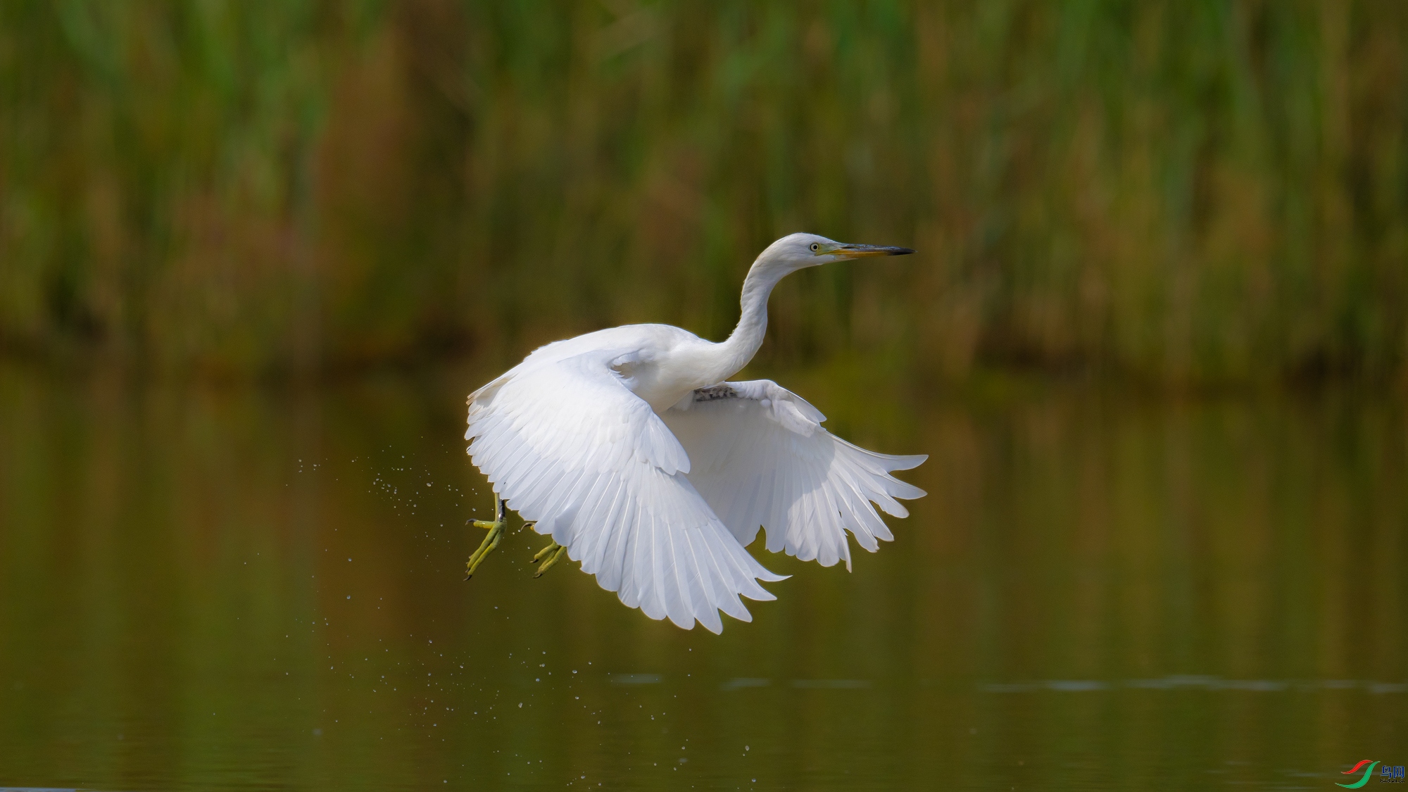 DSC_5664.jpg