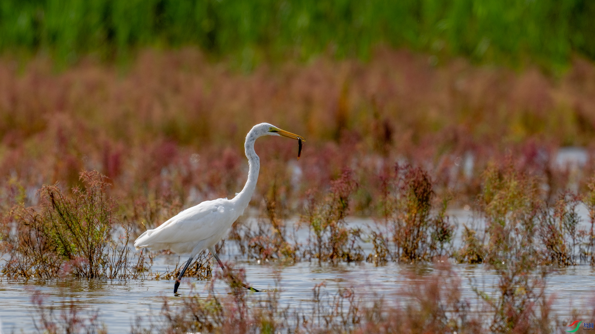 DSC_6976.jpg