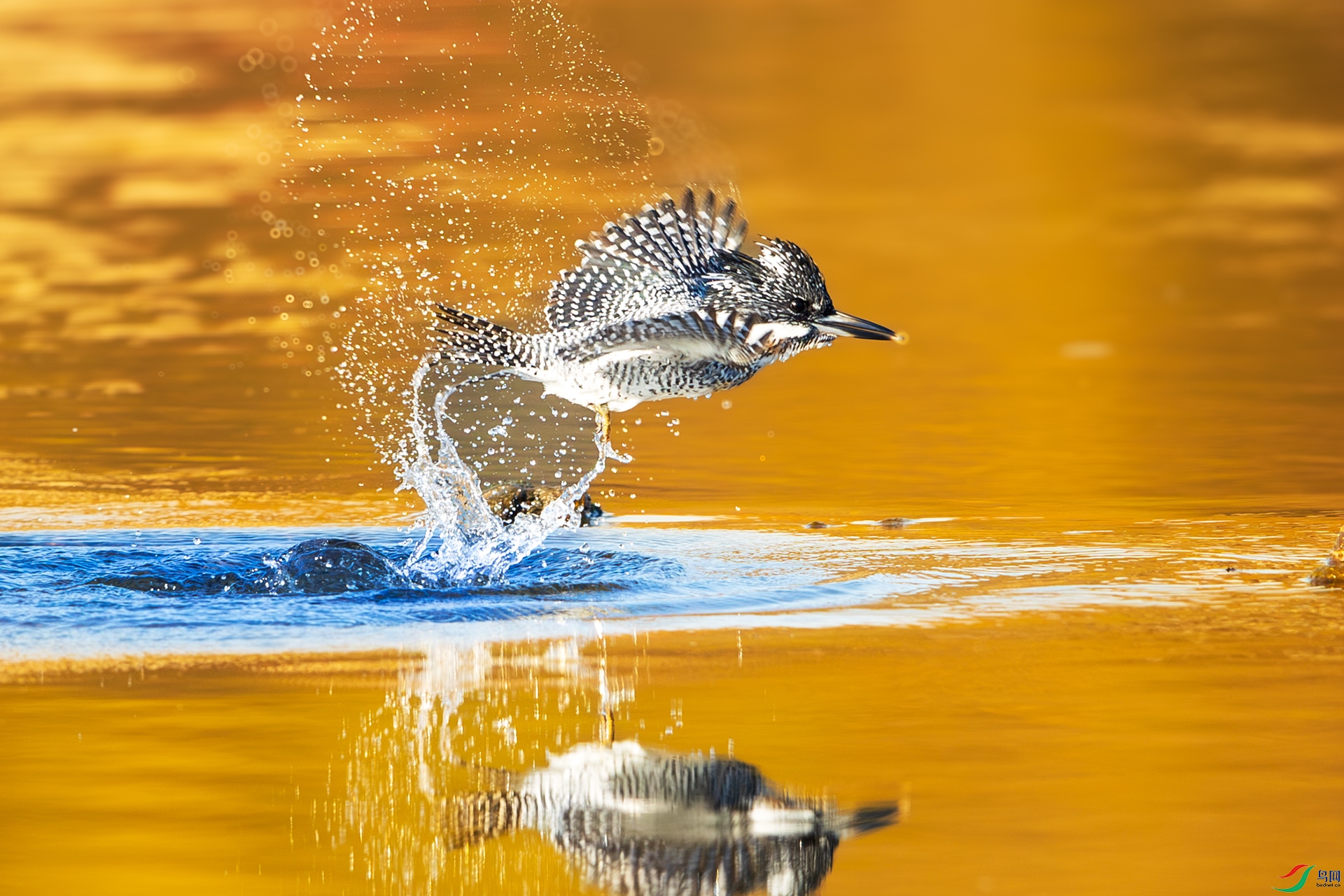 _U3I1483 ����.jpg