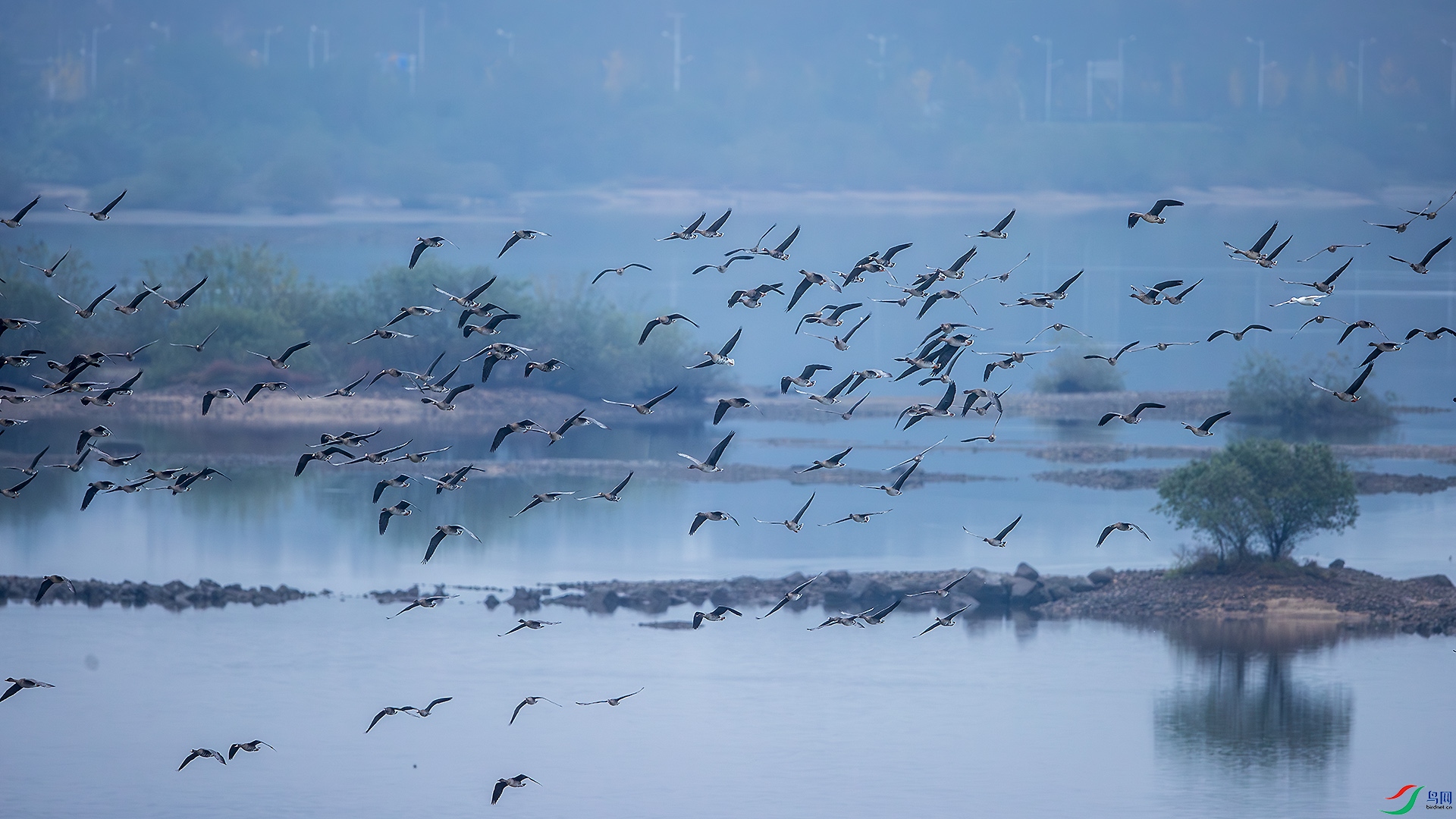 _U3I0861 ����.jpg