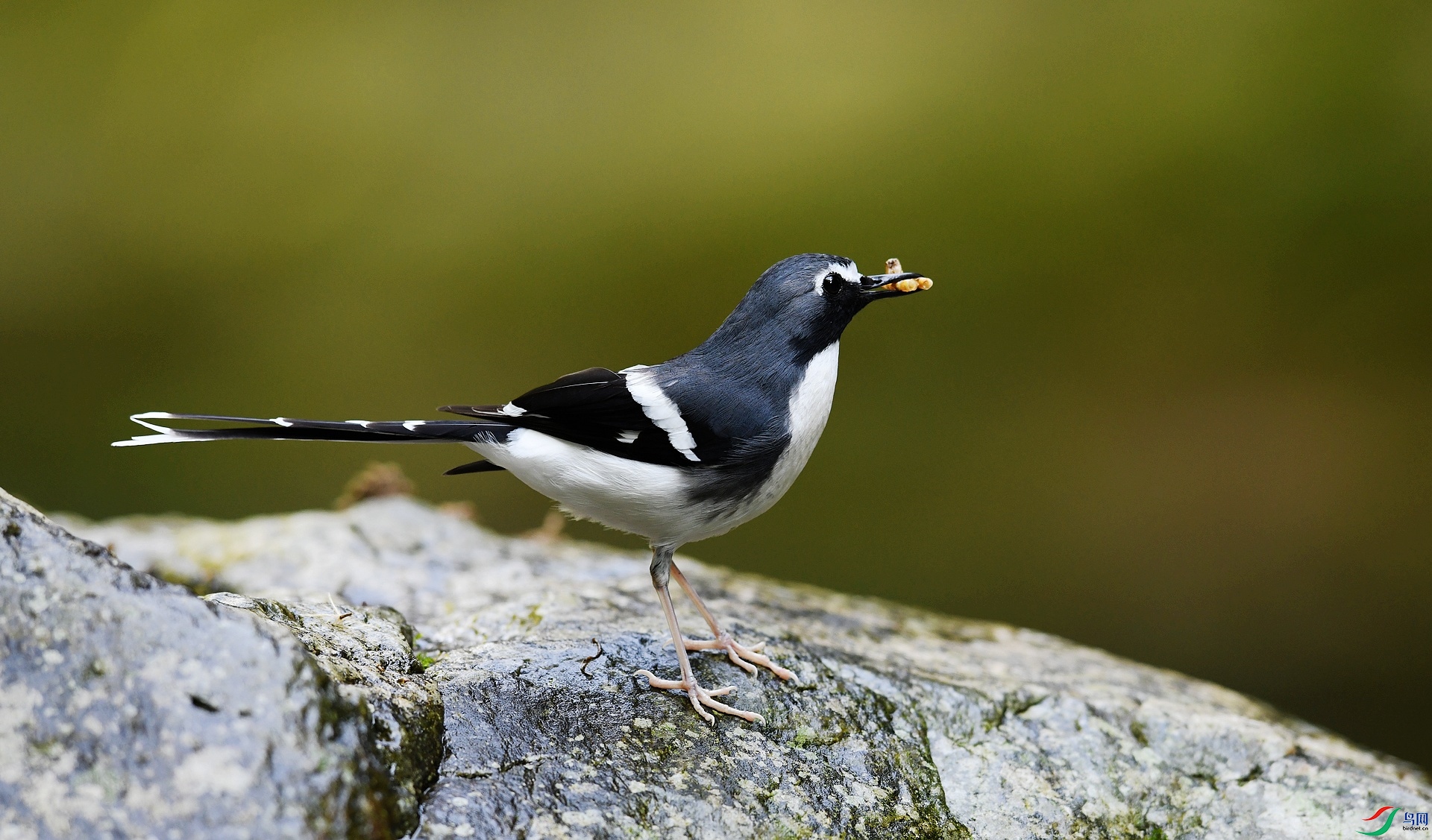 DSC_1842.jpg