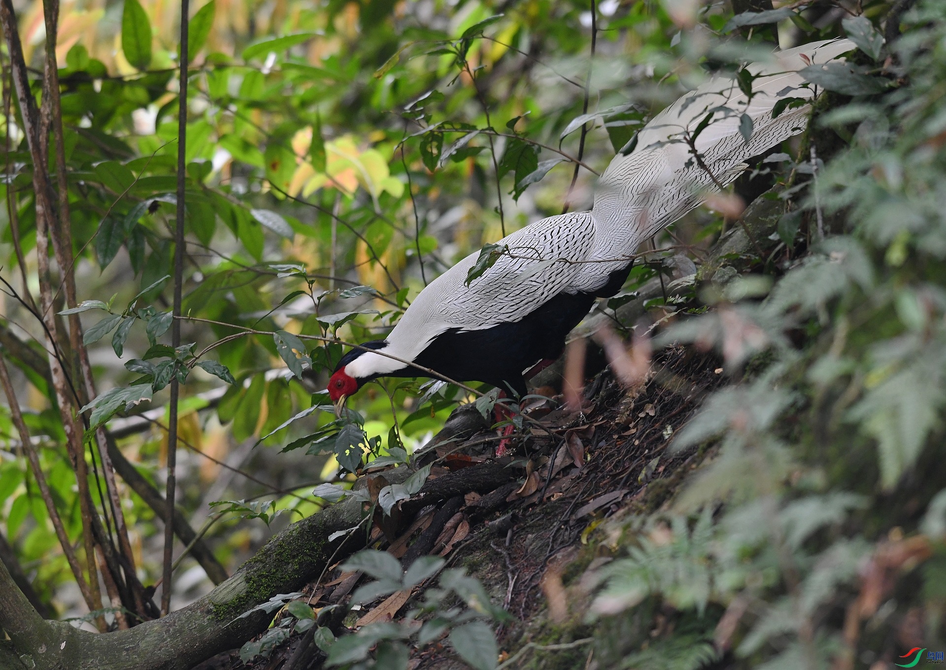 DSC_3053.jpg