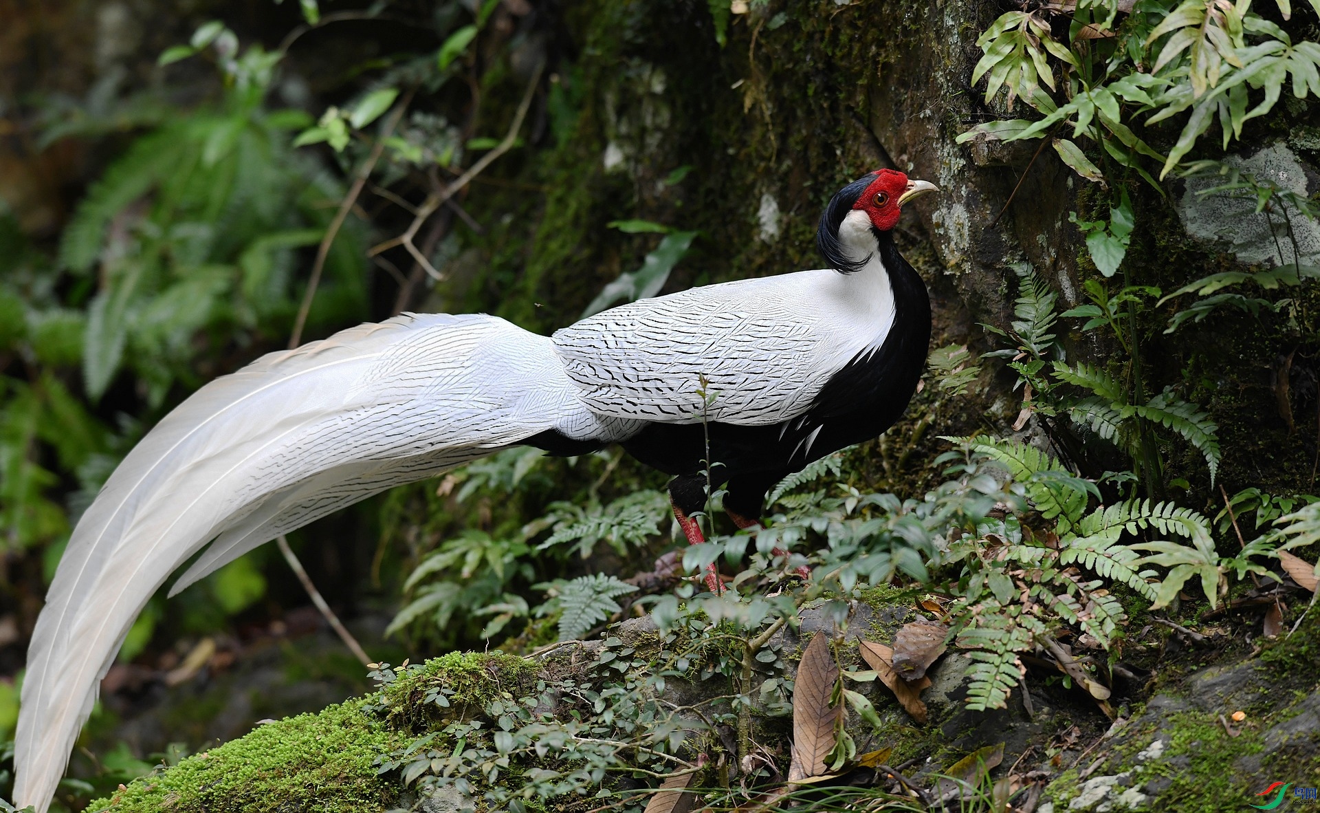 DSC_3041.jpg