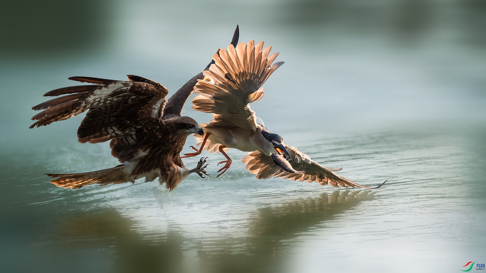 DSC_4213-DxO_DeepPRIME XD2s.jpg