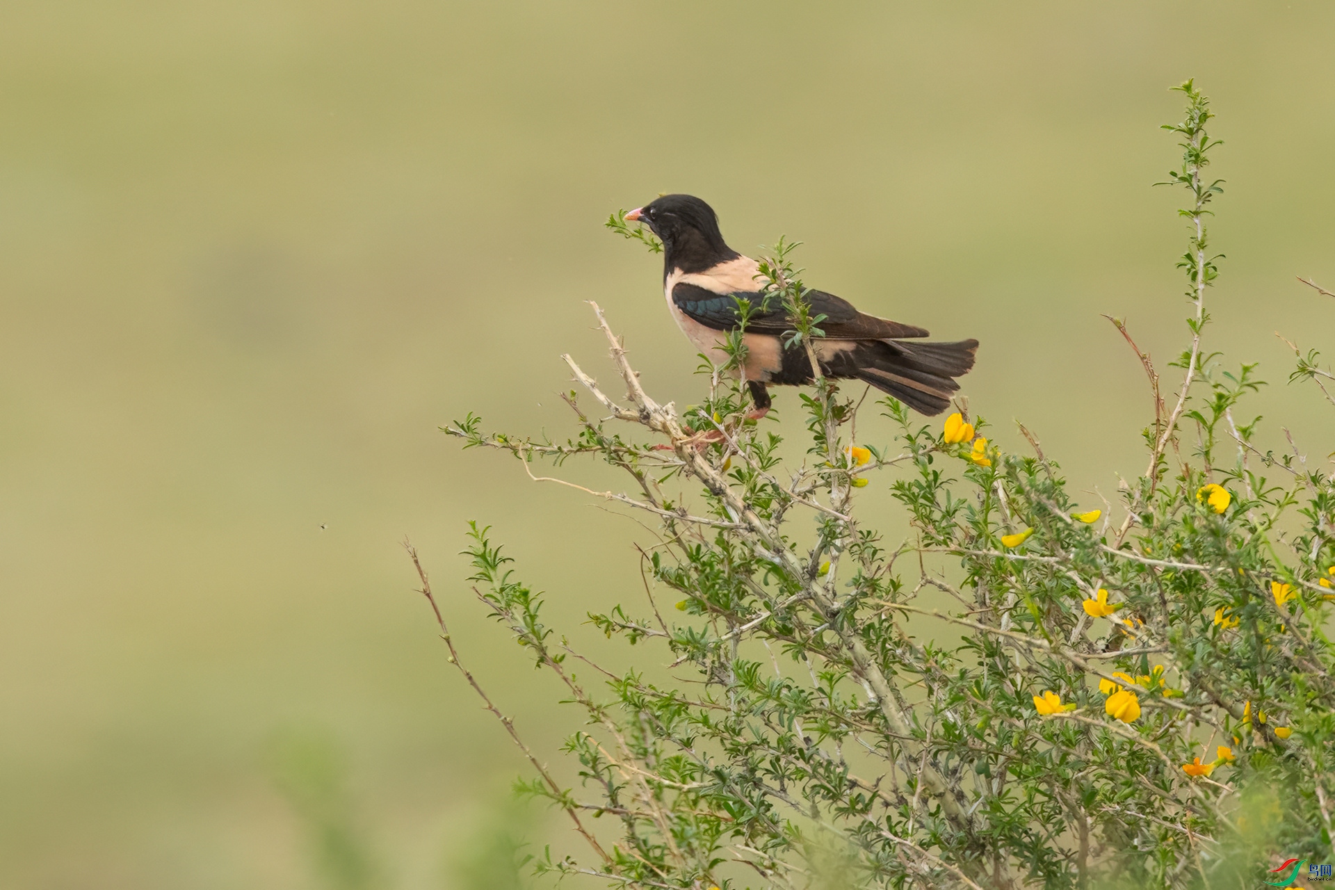 B86I2155 _����.jpg