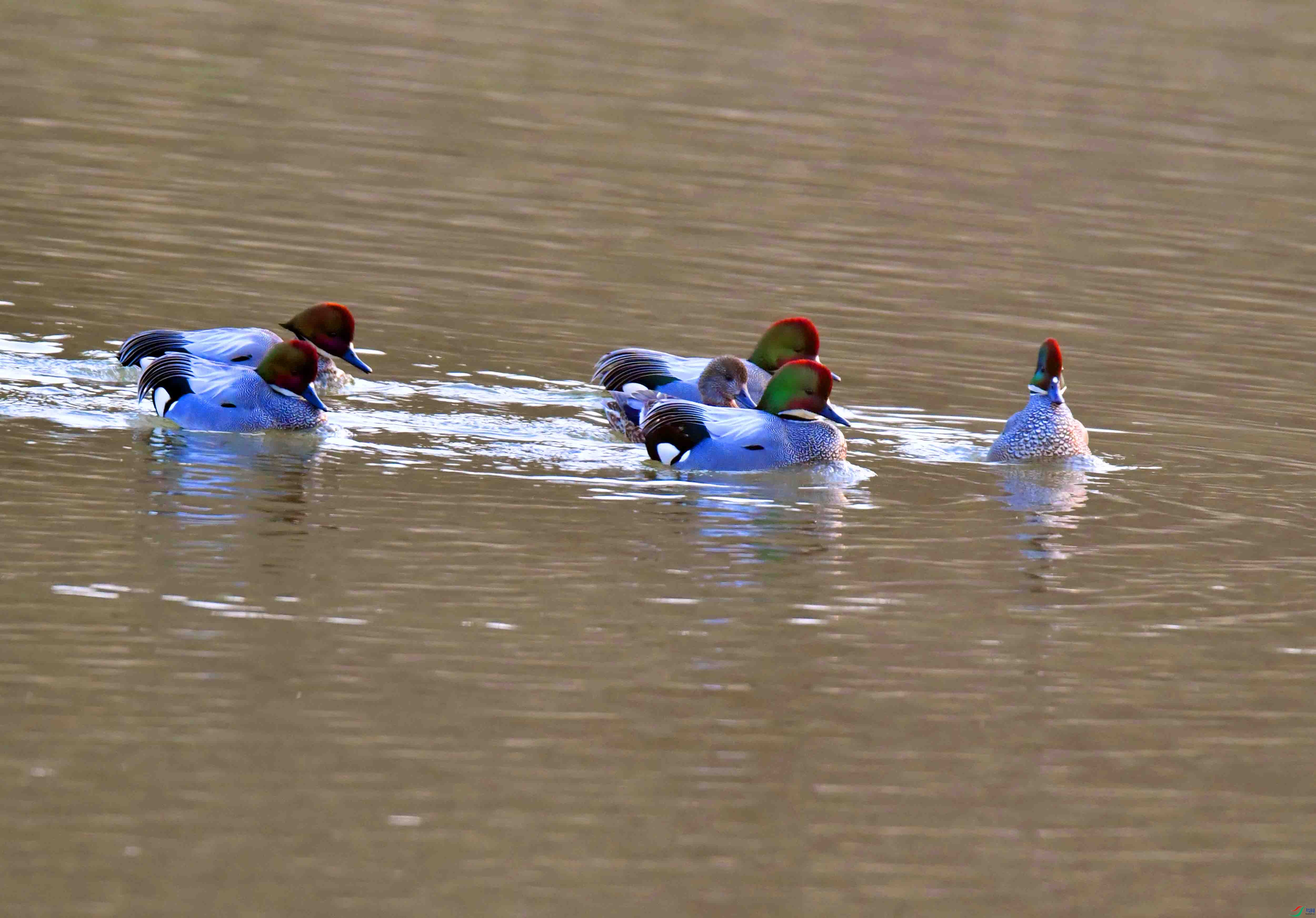 DSC_1031.JPG