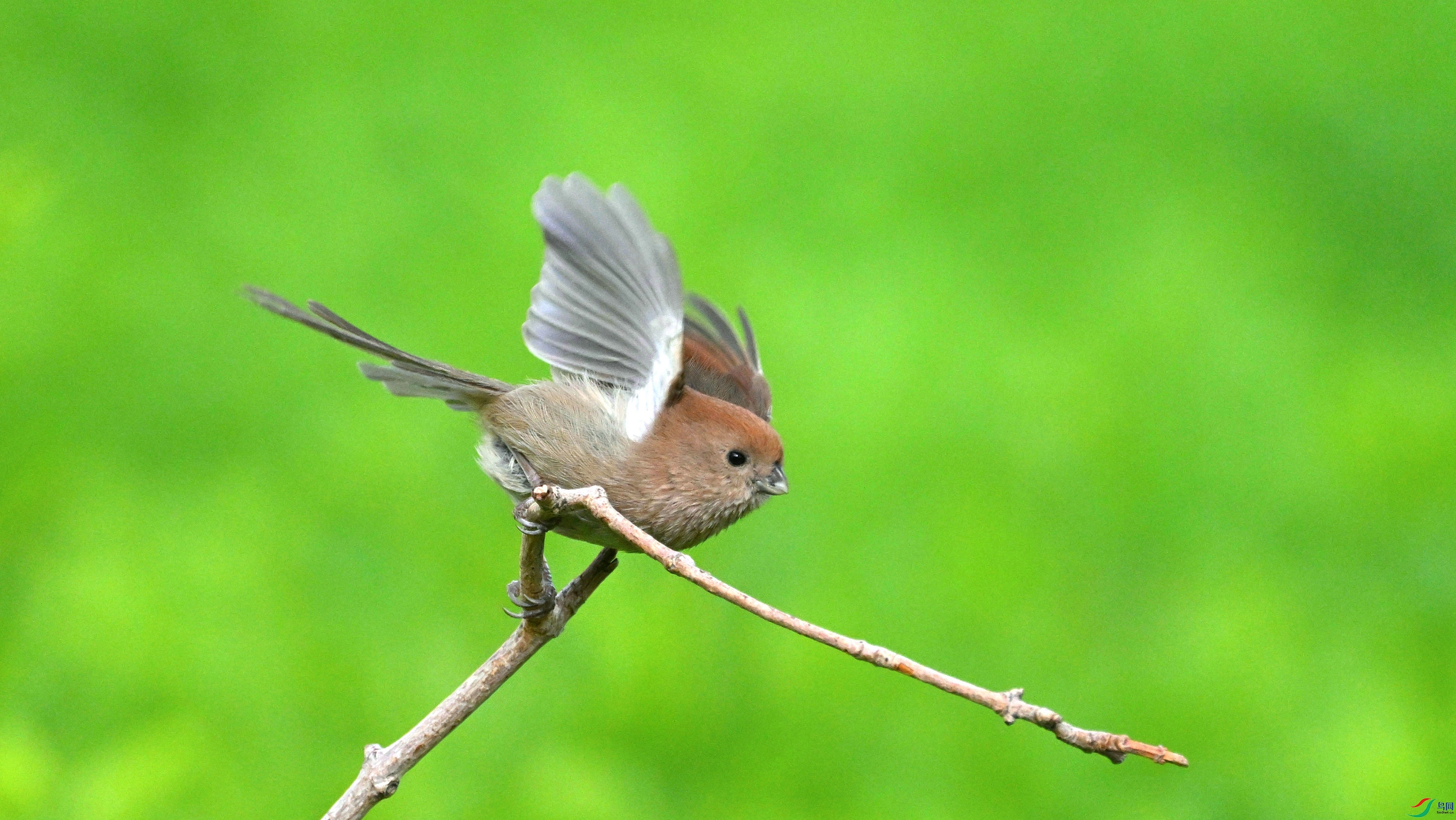 DSC_0464.JPG