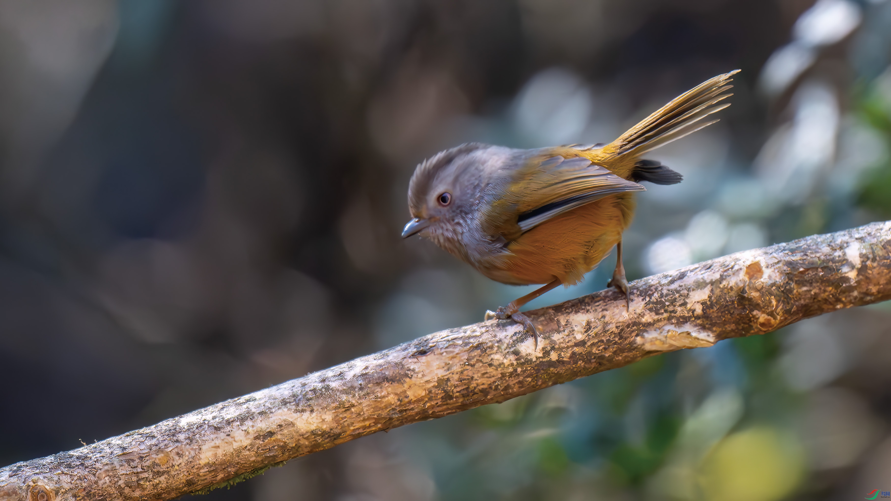 DSC_1410.jpg
