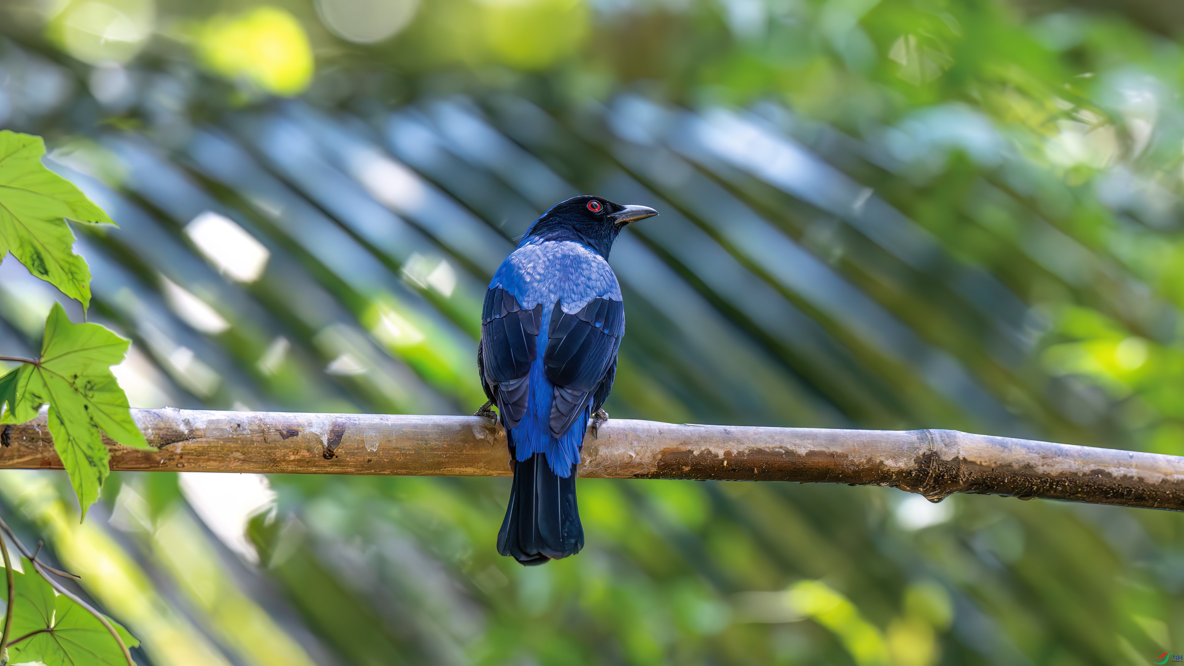 DSC_0788.jpg