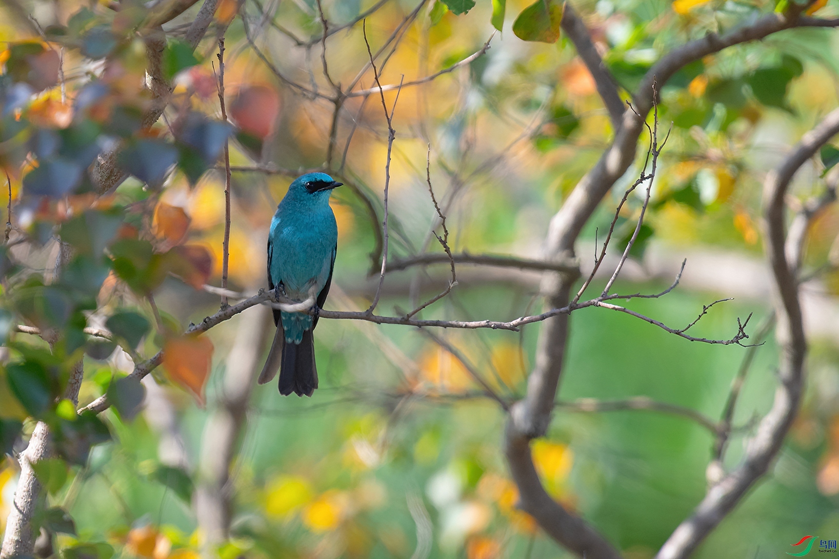DSC_2863_DxOa.jpg