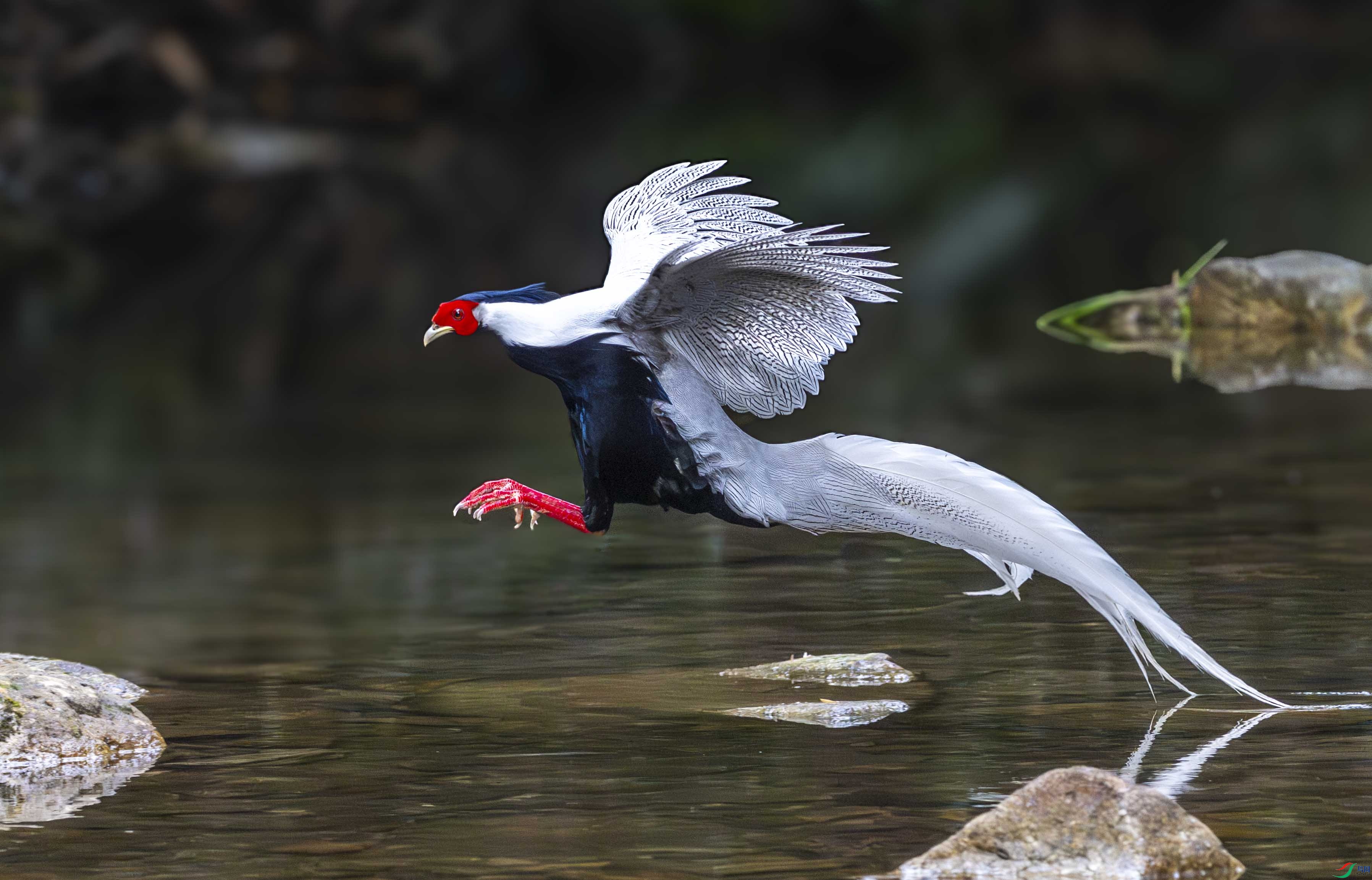 _DSC8826 ����.jpg