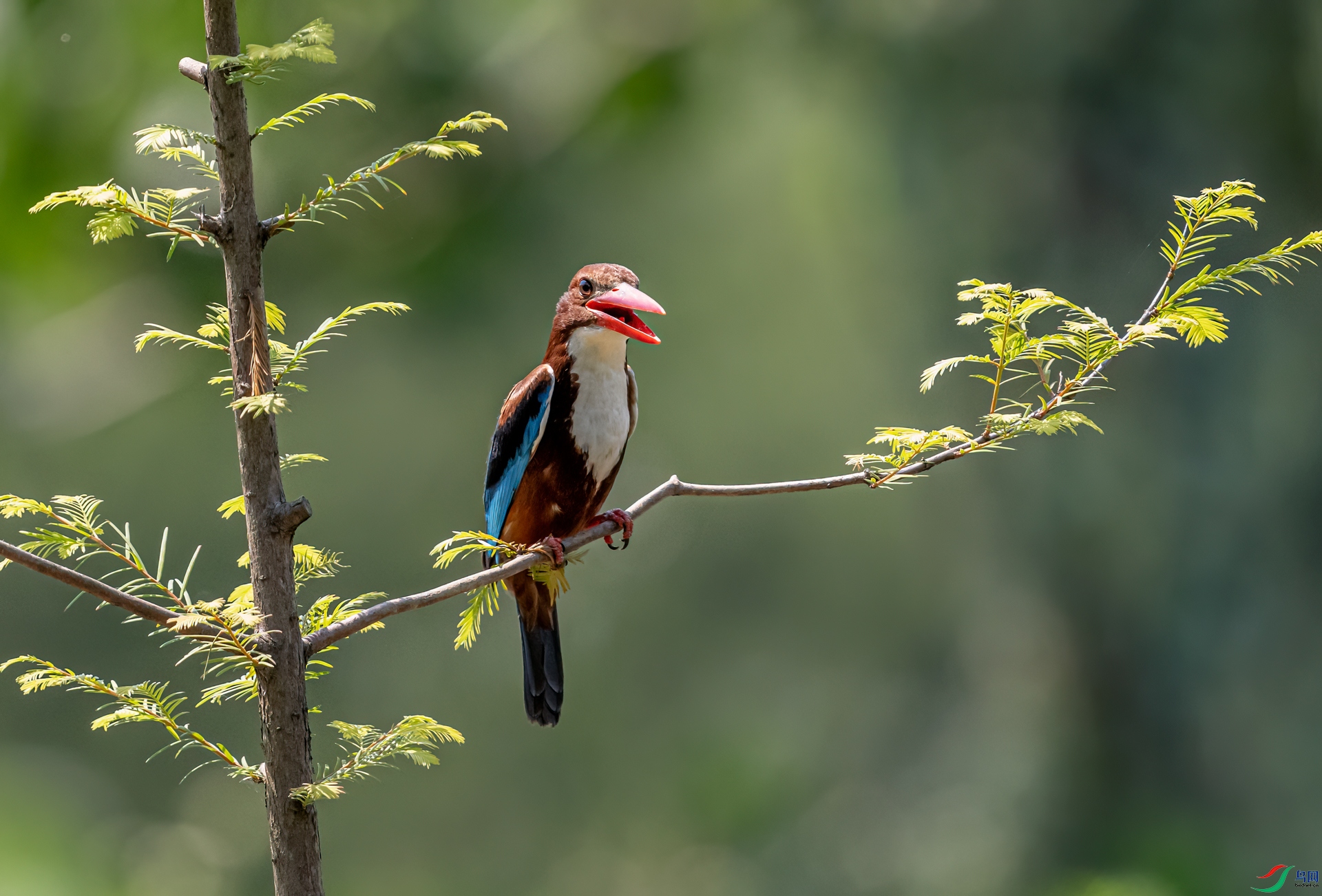 DSC_3626-11.jpg