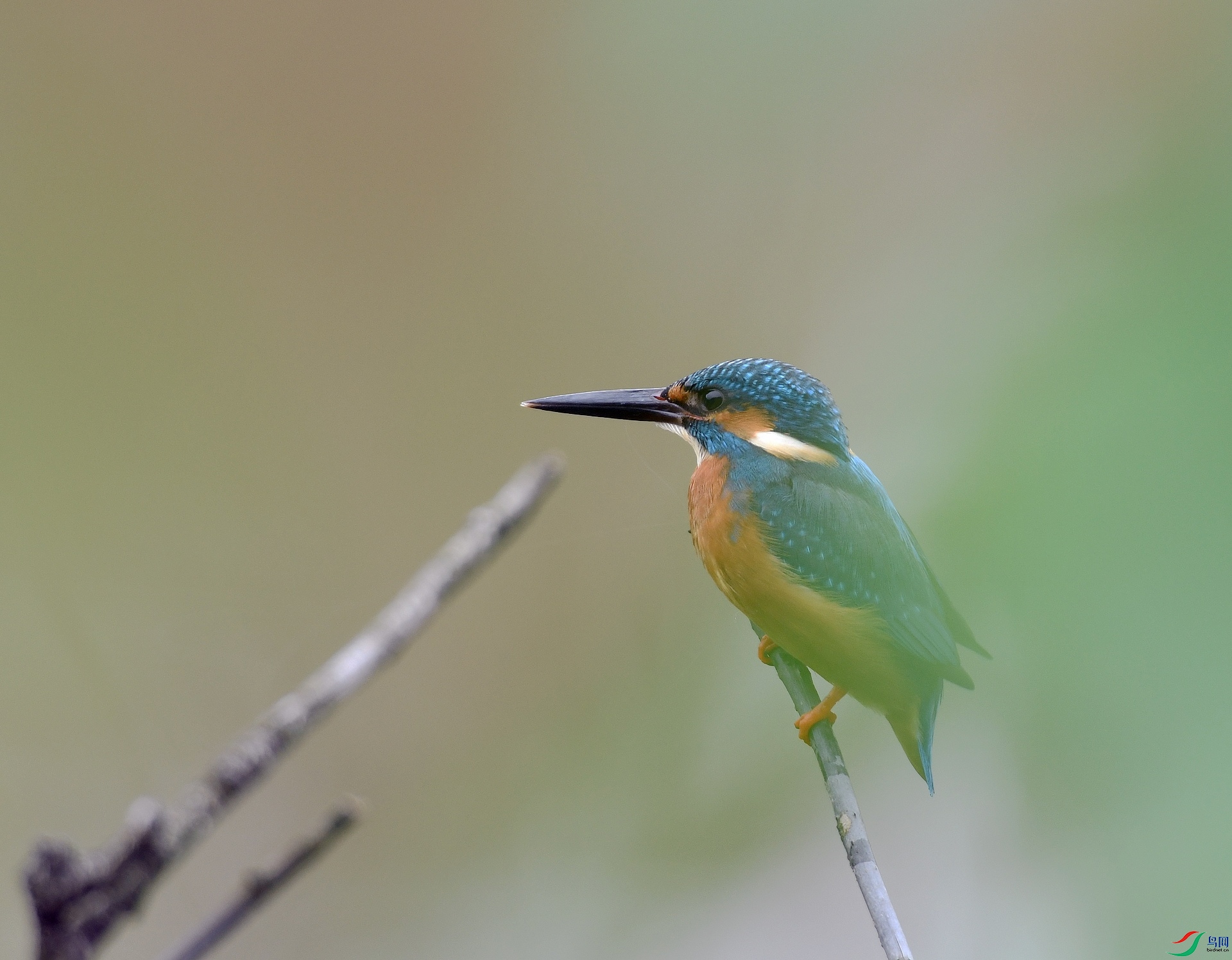 DSC_2678.jpg