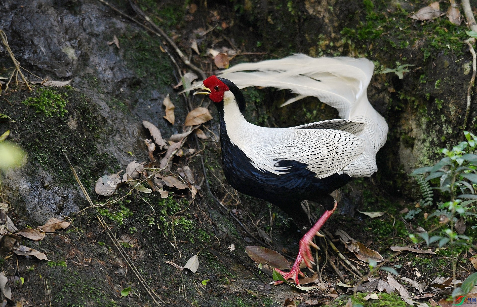 DSC_2546.jpg