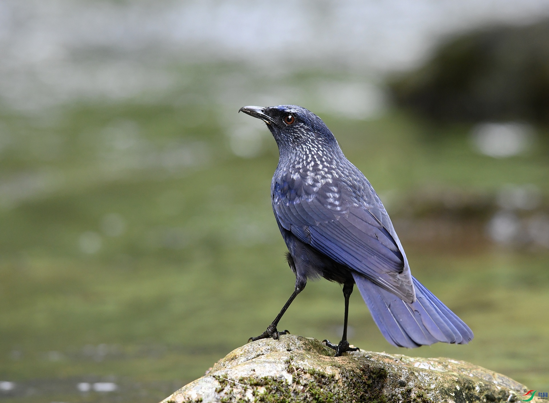DSC_3126.jpg