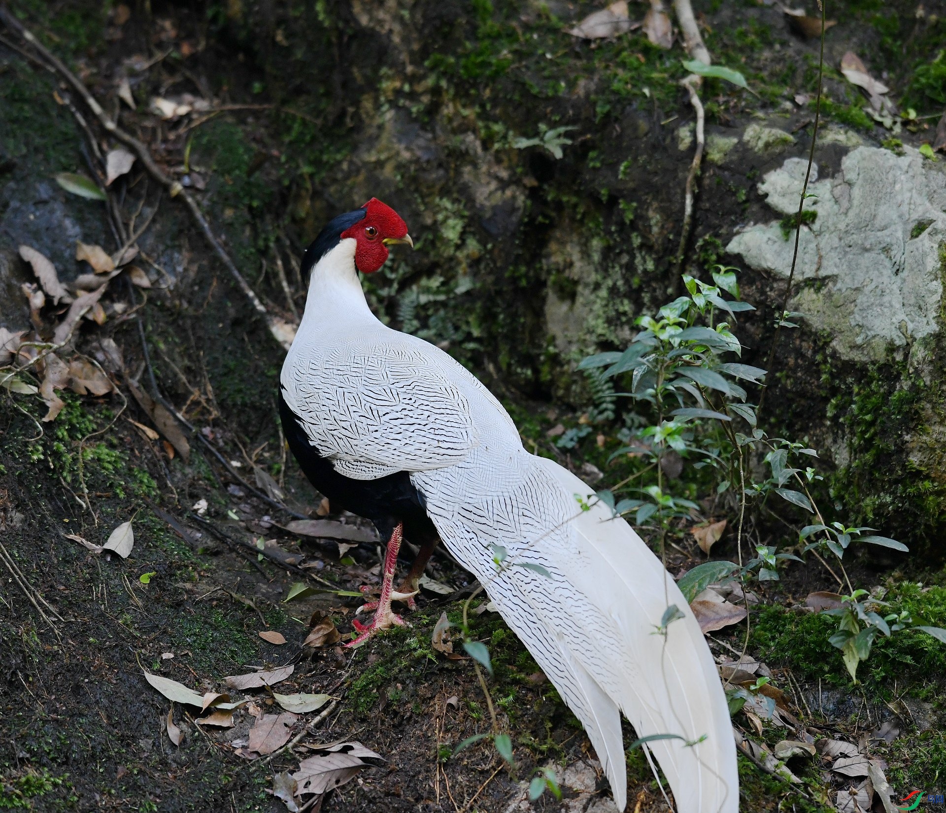 DSC_2554.jpg