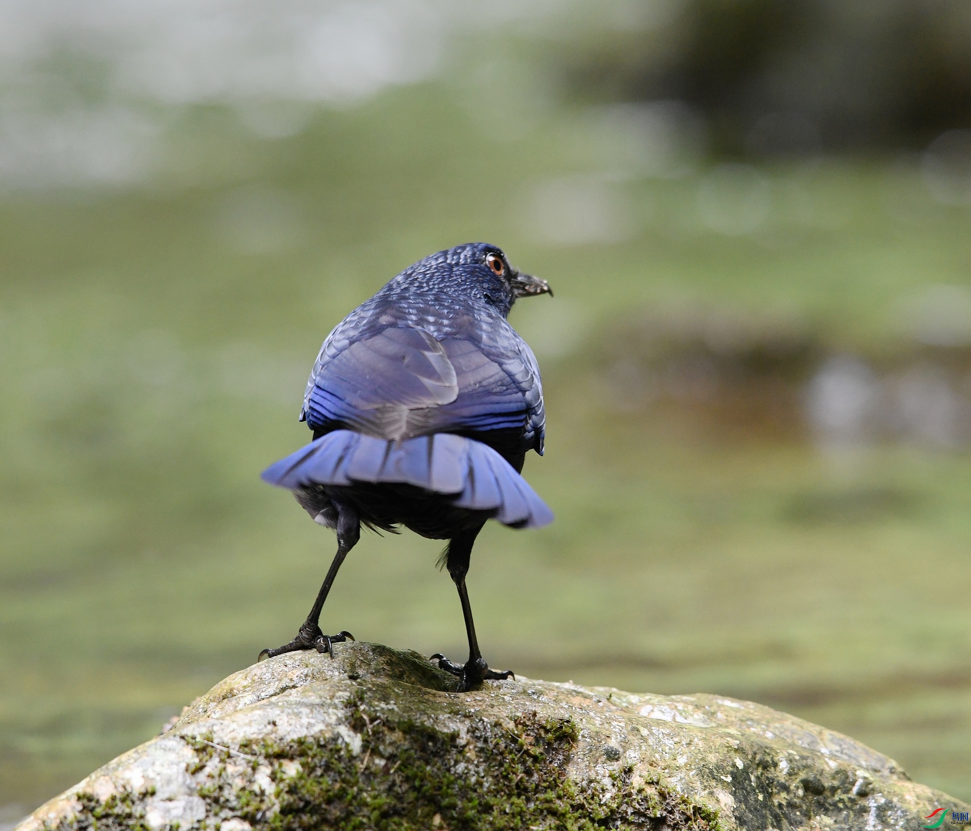 DSC_3130.jpg