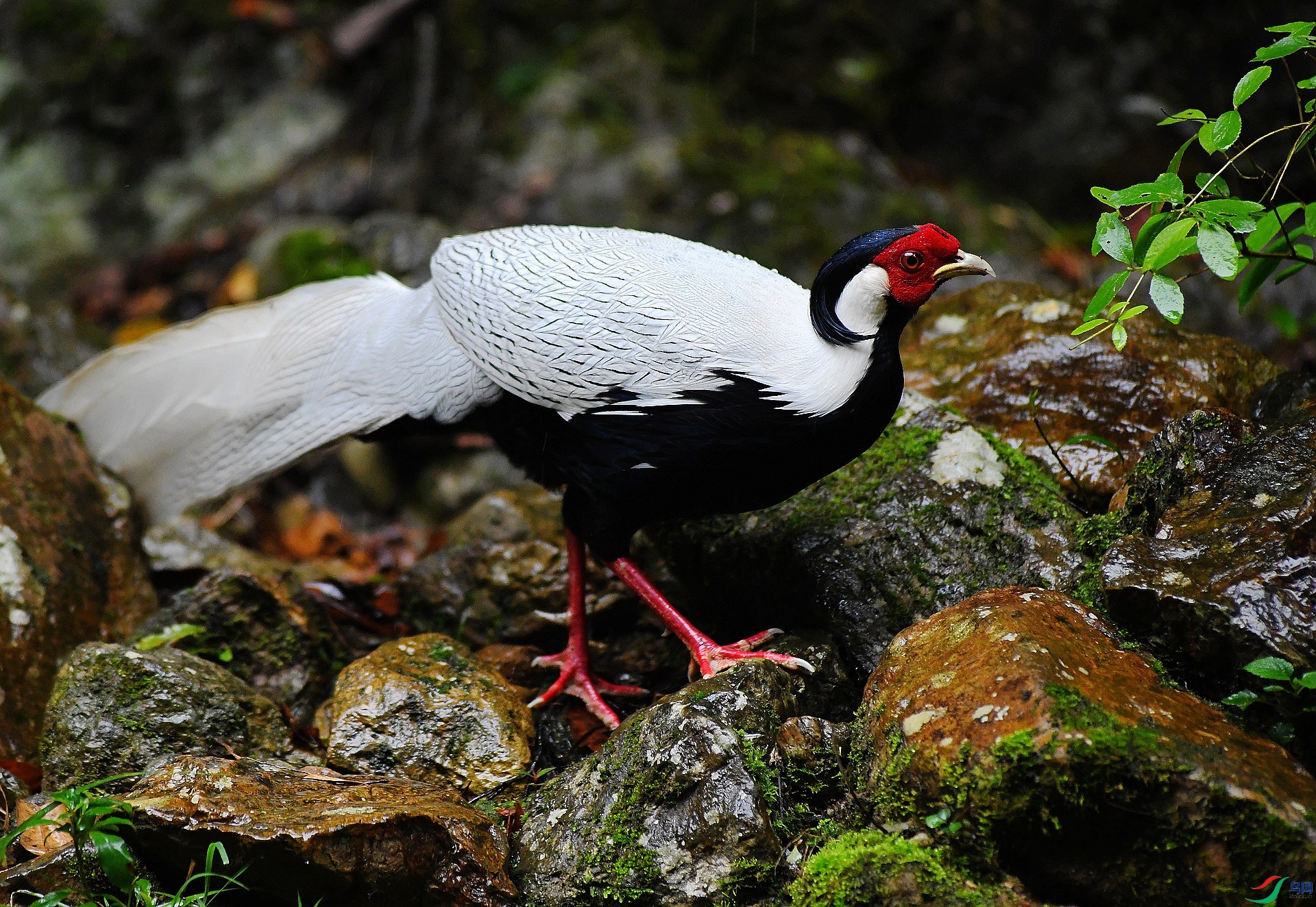DSC_8259.jpg