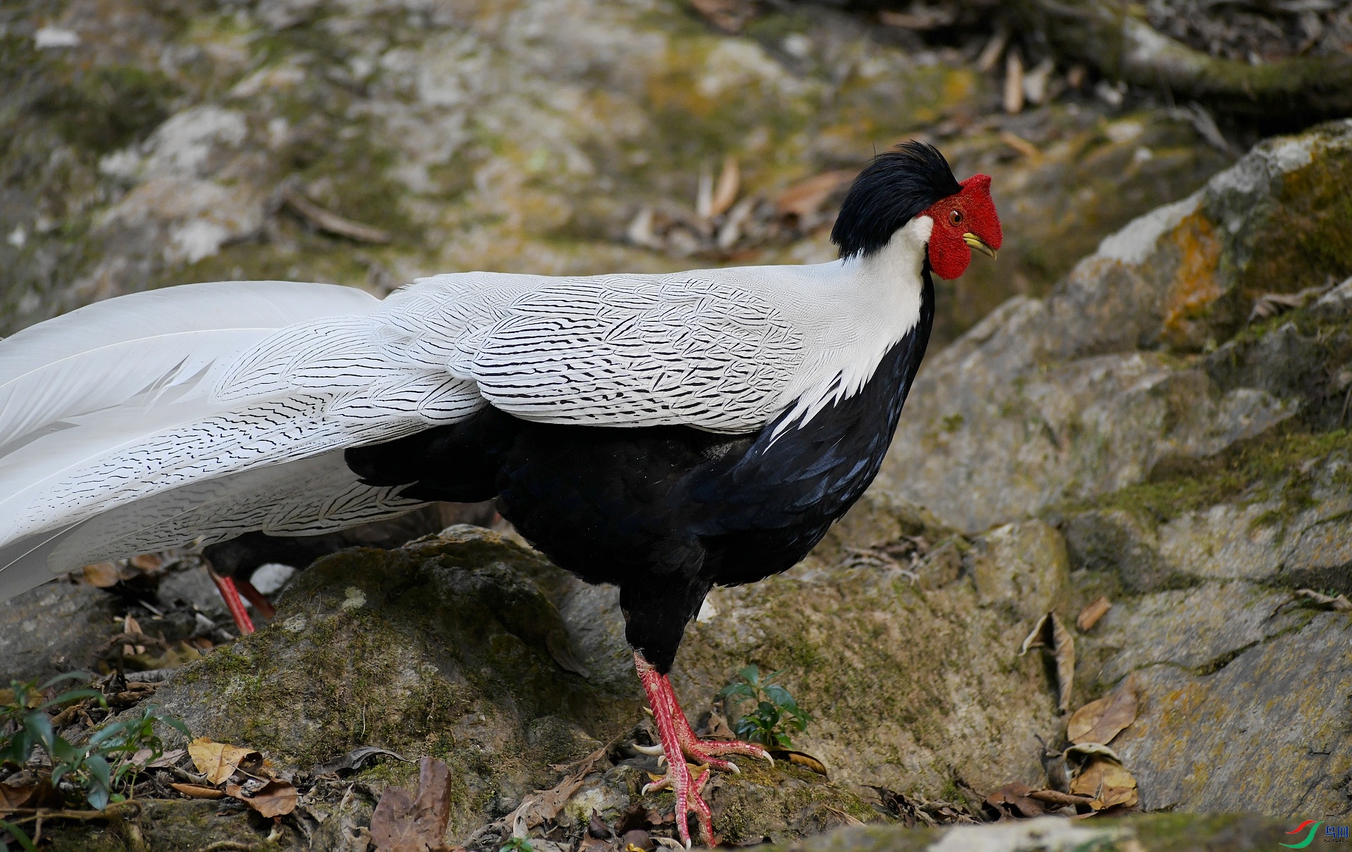 DSC_8279.jpg