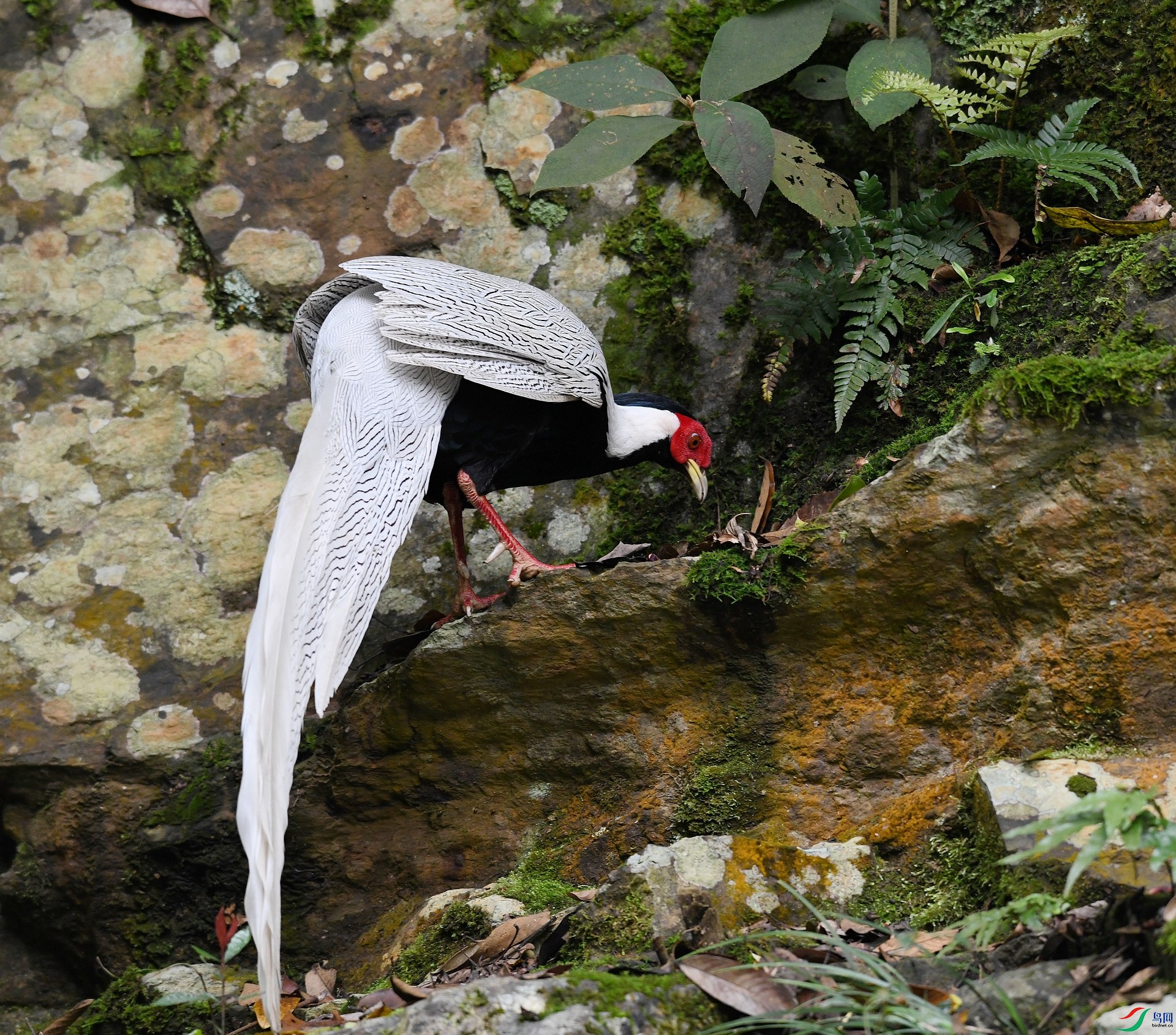 DSC_3376.jpg