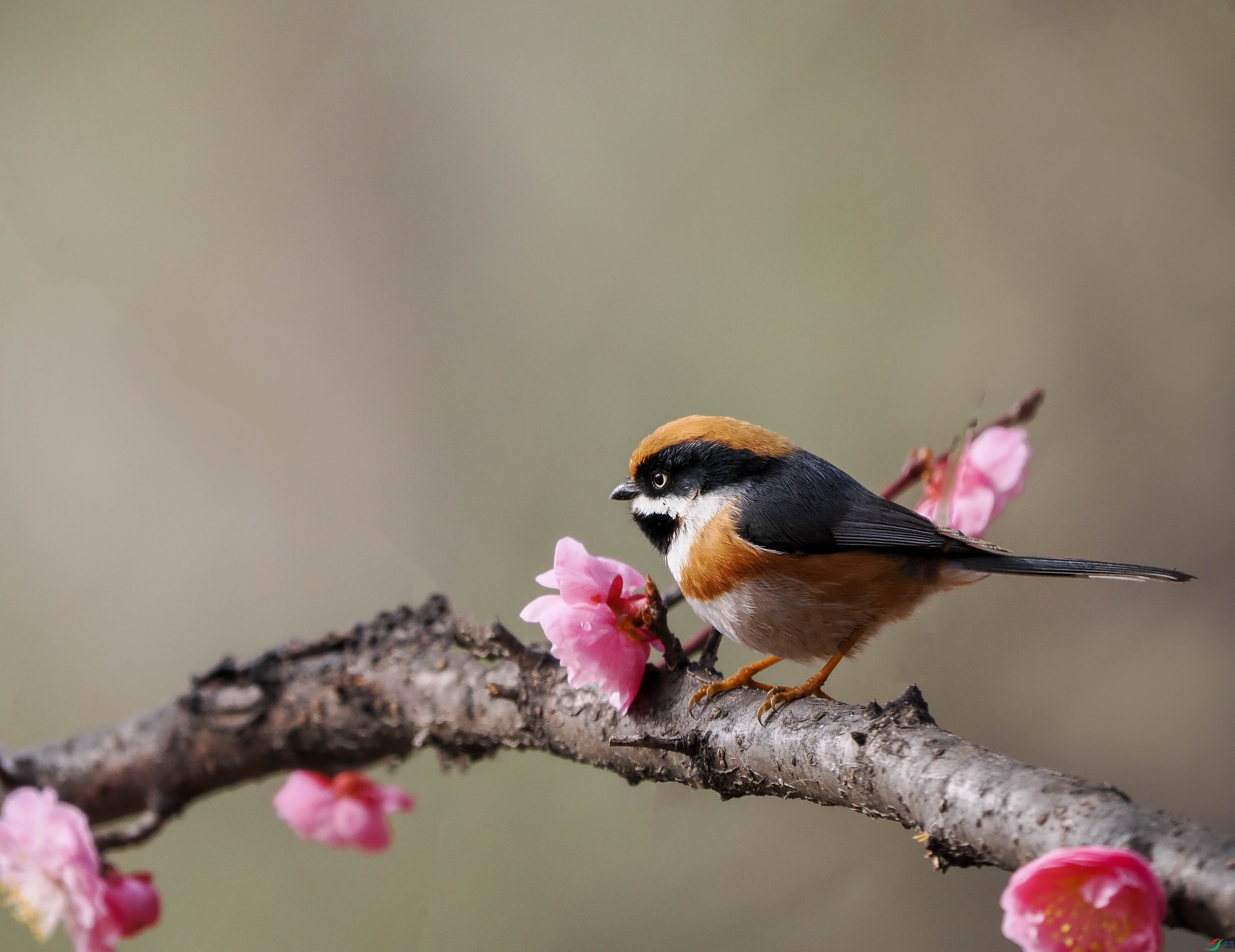 1-xtP3150246 ����.jpg