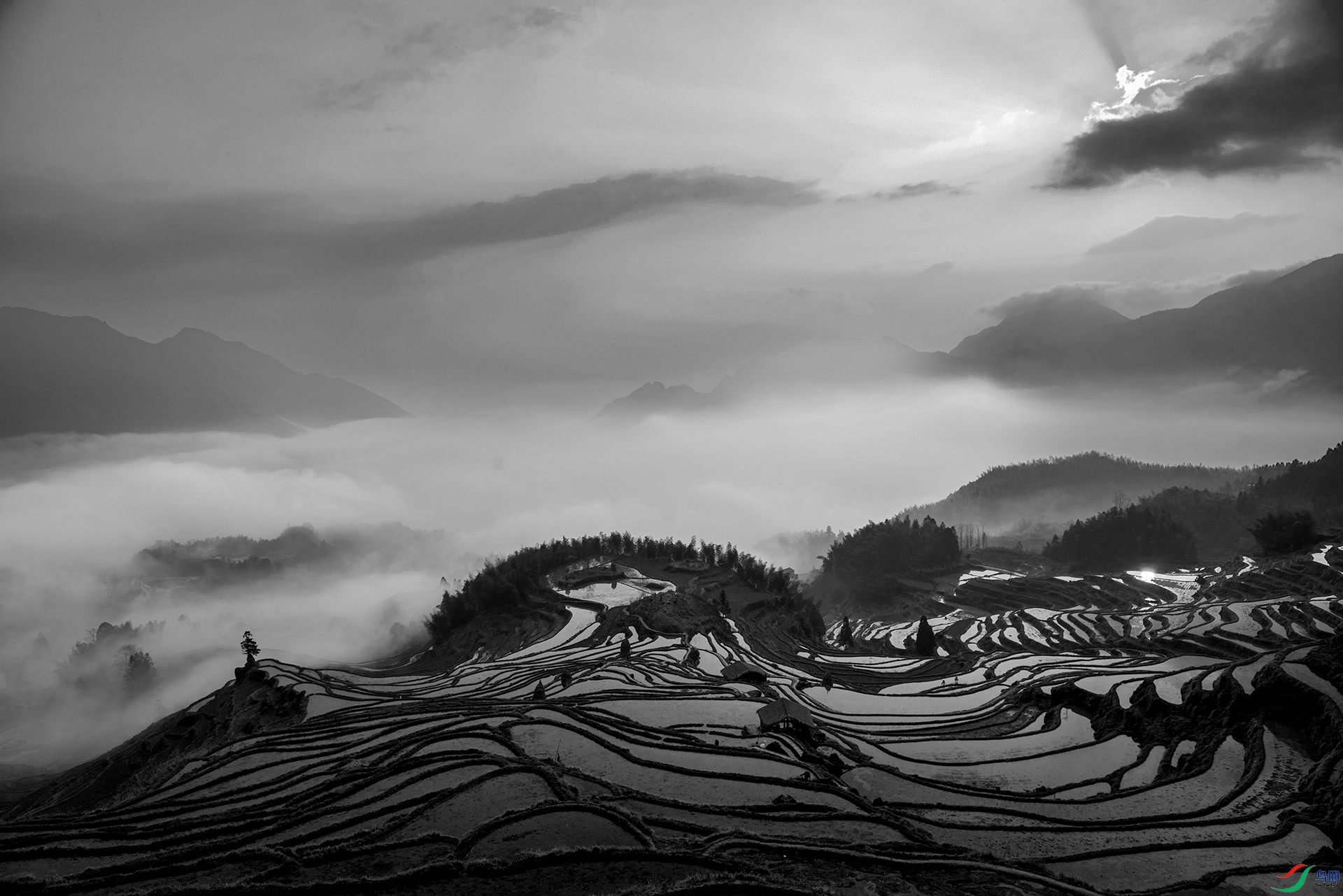 _DSC9510- ������.jpg