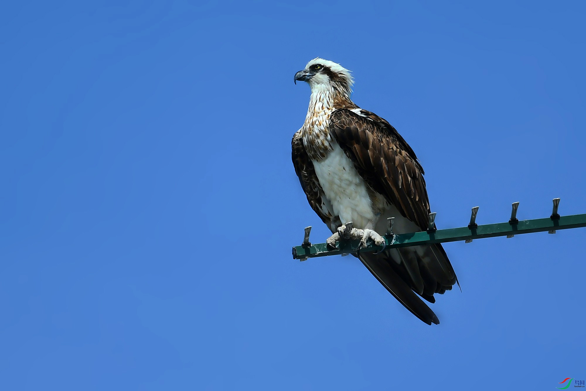 DSC_7626_.jpg