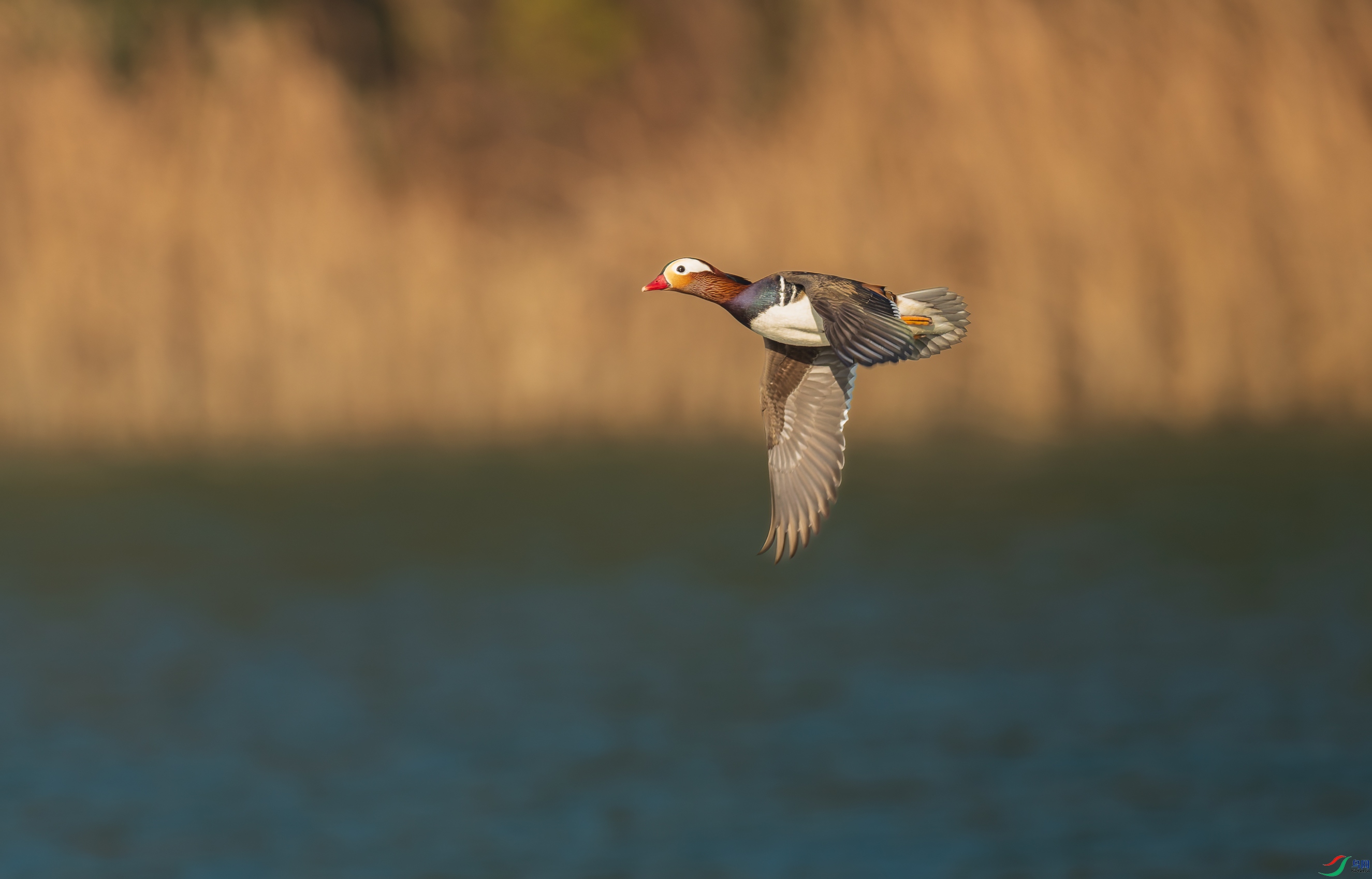 20250118-_DSC1432.jpg