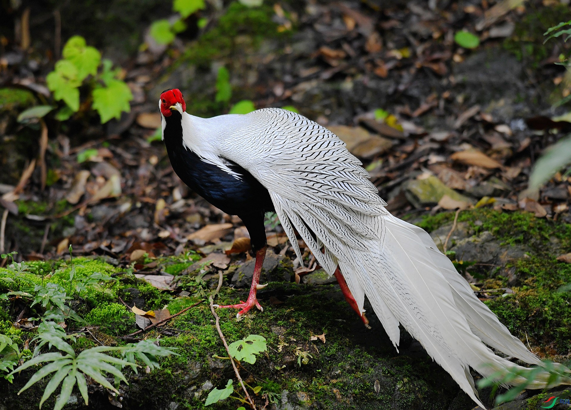 DSC_4166.jpg