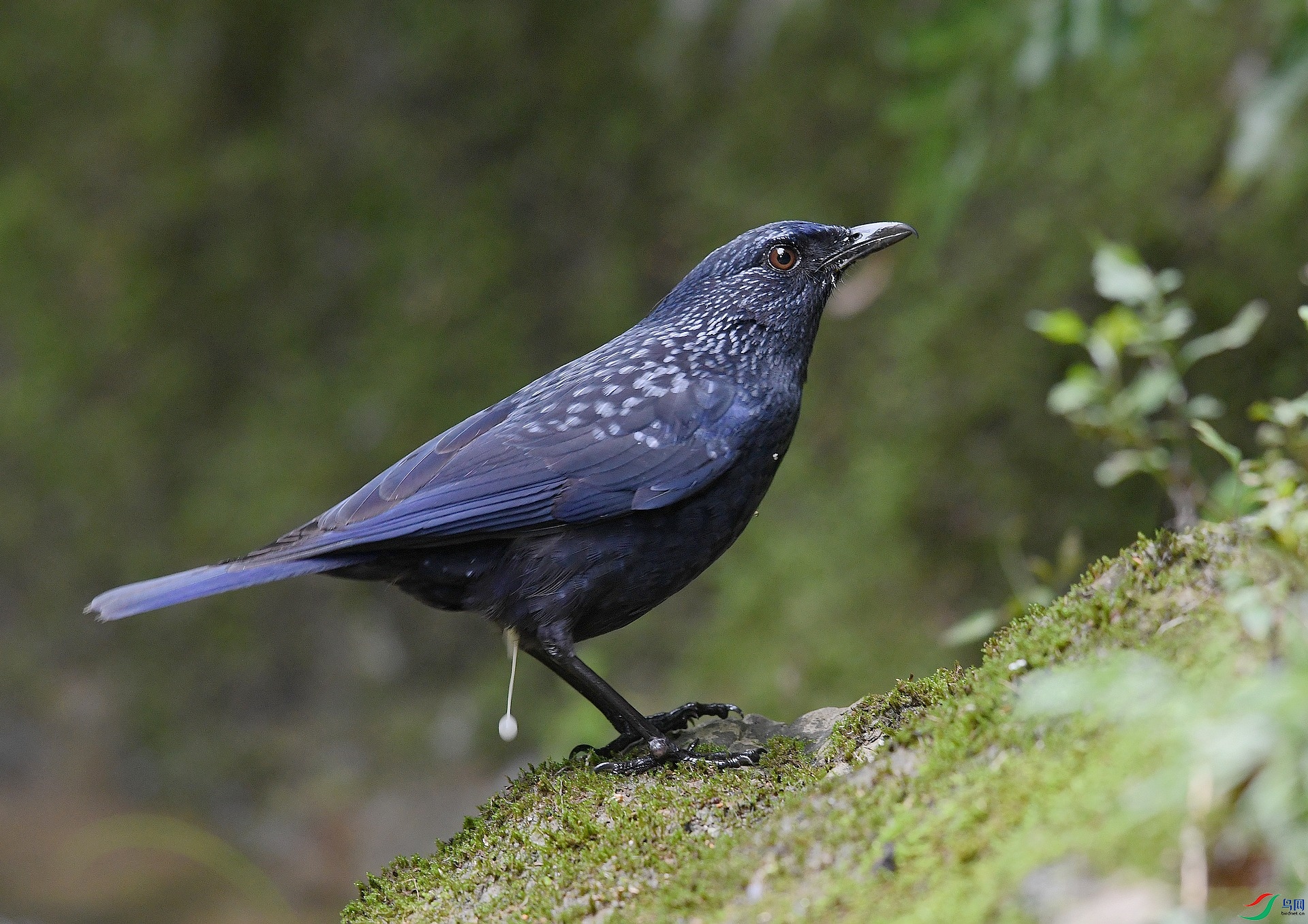 DSC_3272.jpg