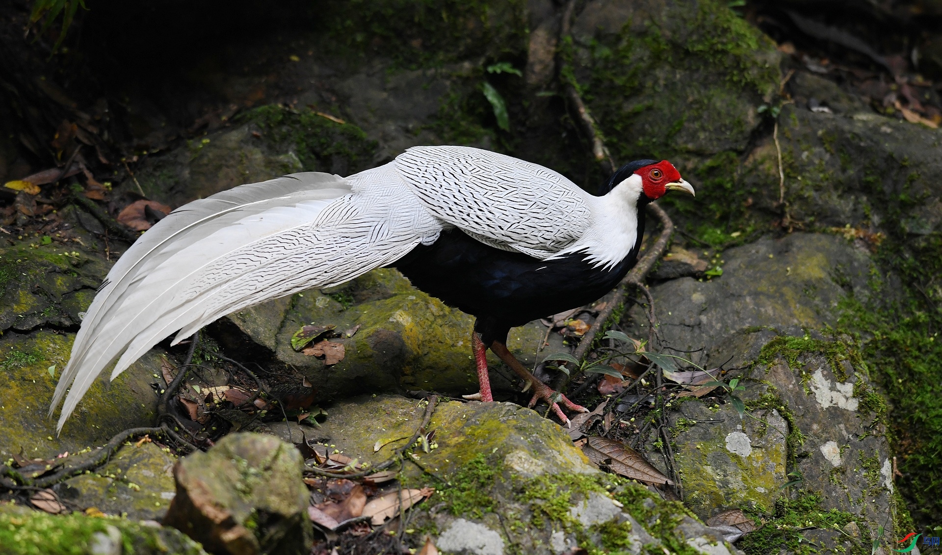 DSC_4079.jpg