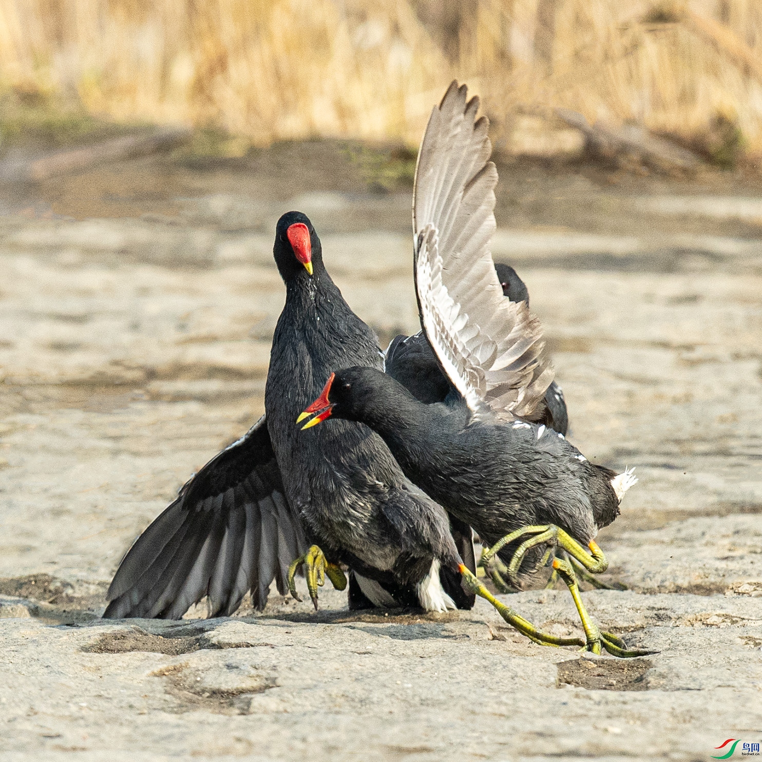 _90I6192 ����.jpg