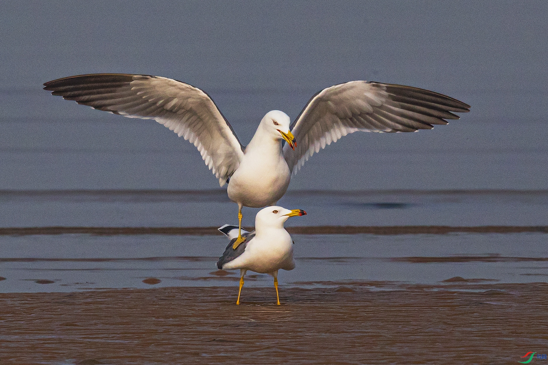 _90I8706 ����.jpg