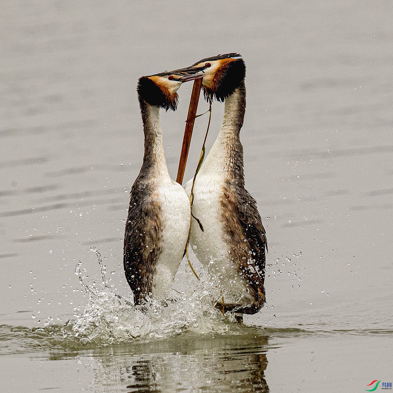 _90I8507 ����.jpg