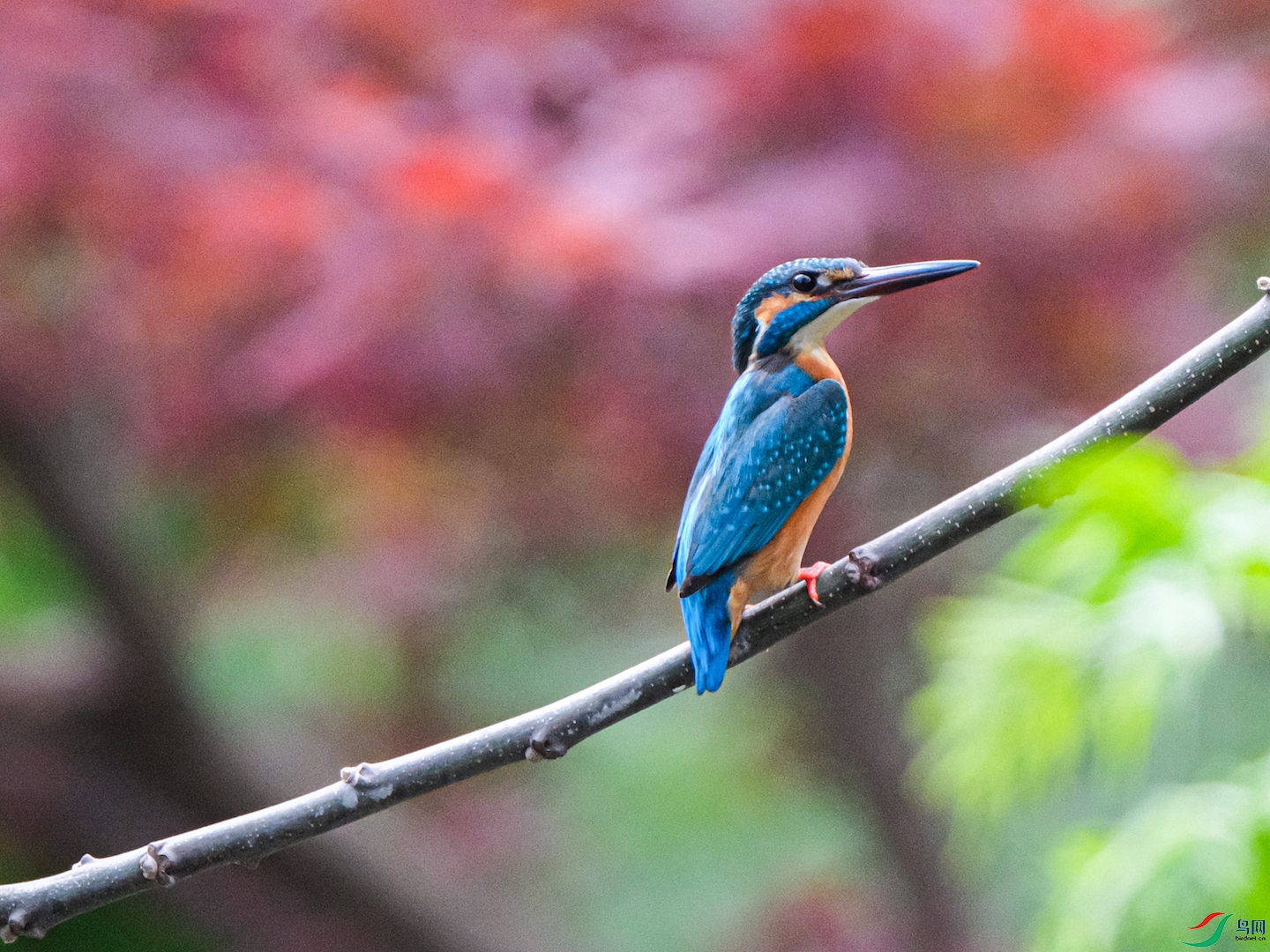 DSCF6180.jpg