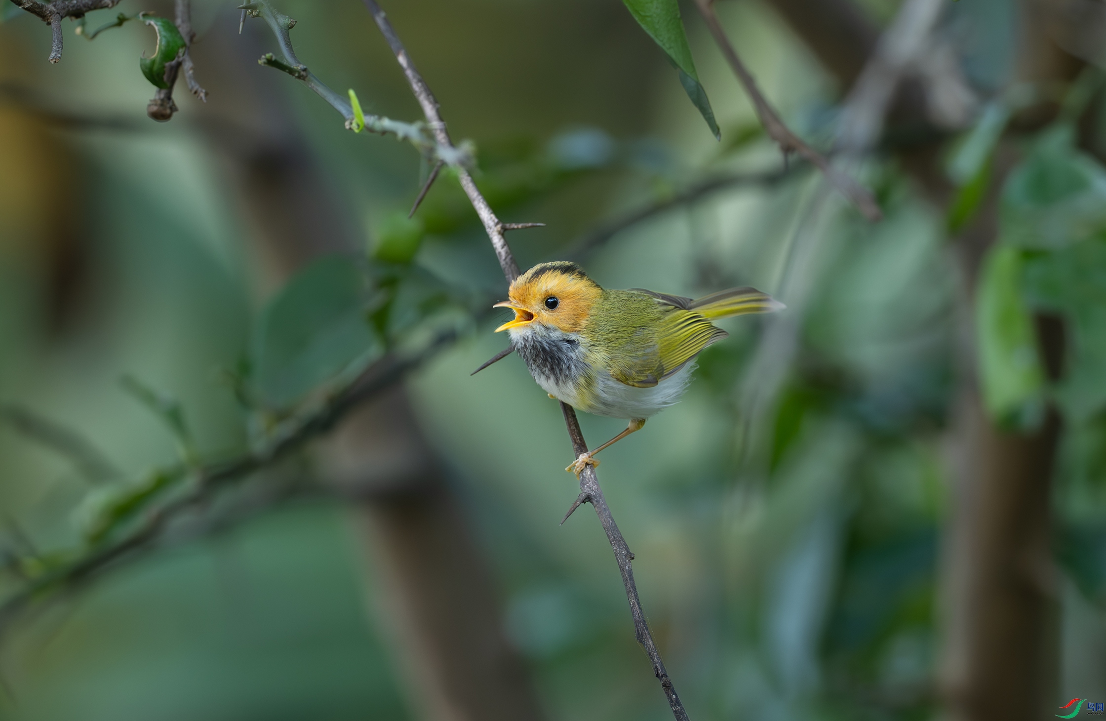 DSC_1541.jpg