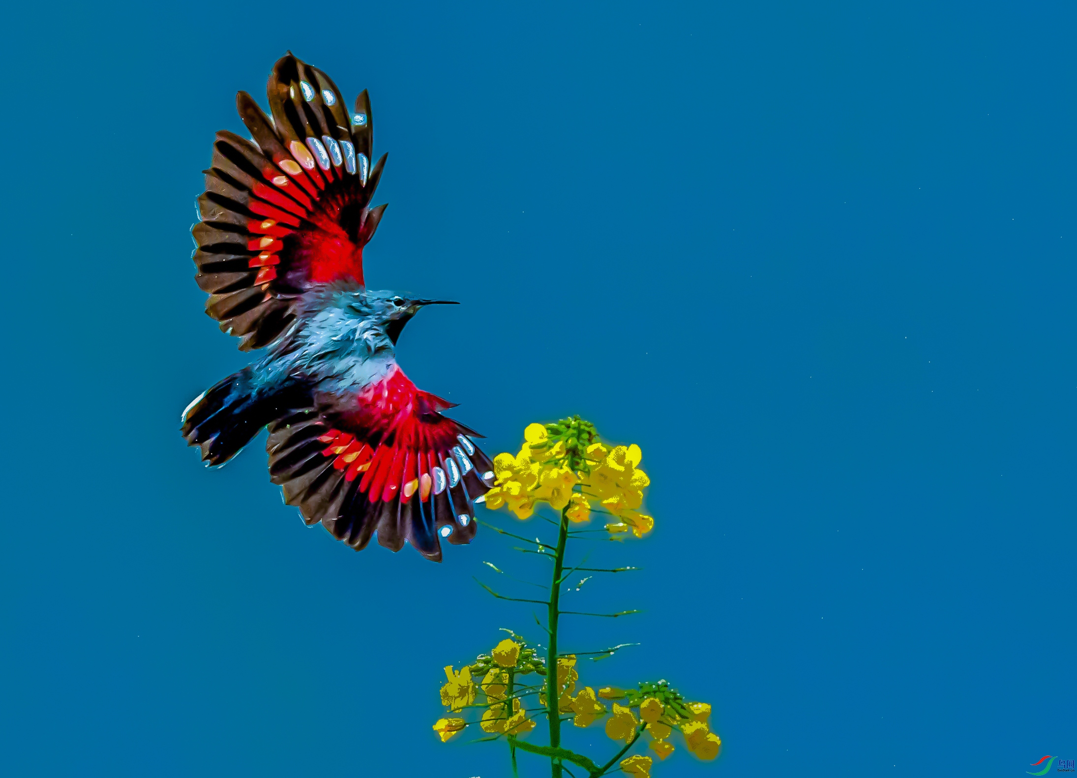 0N6A2461 ��������1 ��������1 ����.jpg