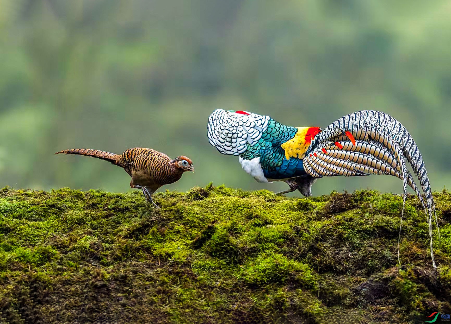 ����3 ����.jpg