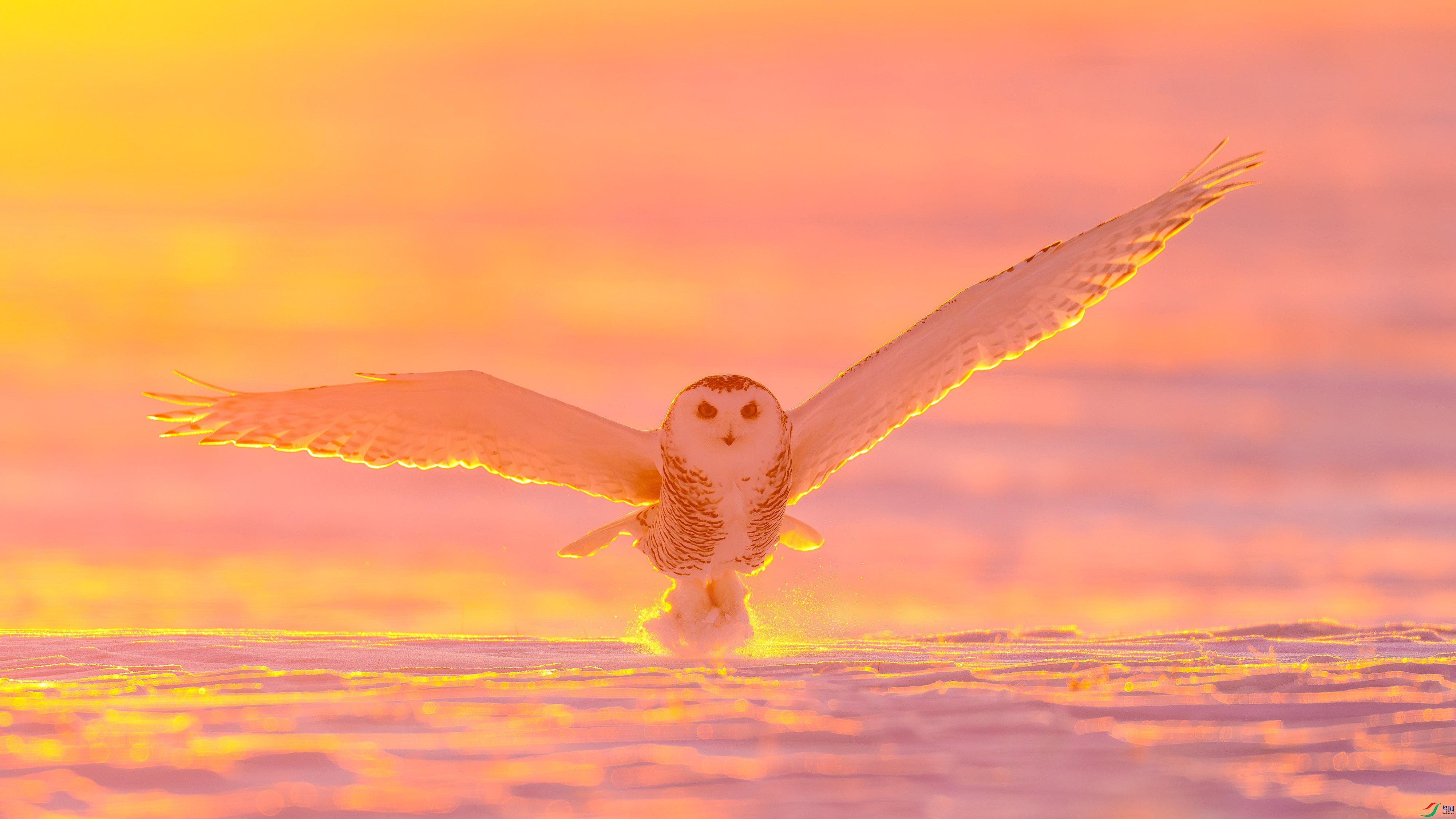 DSC03444- ����.jpg