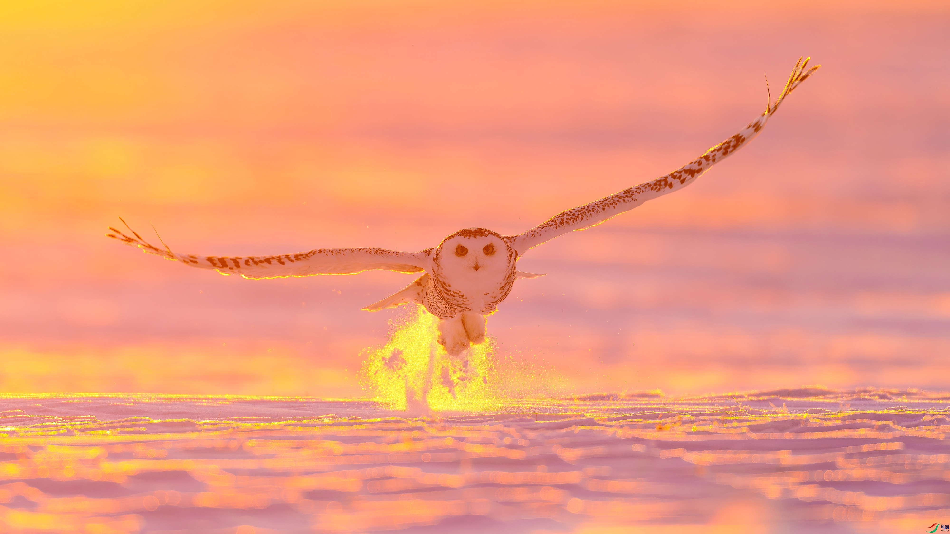 DSC03445- ����.jpg