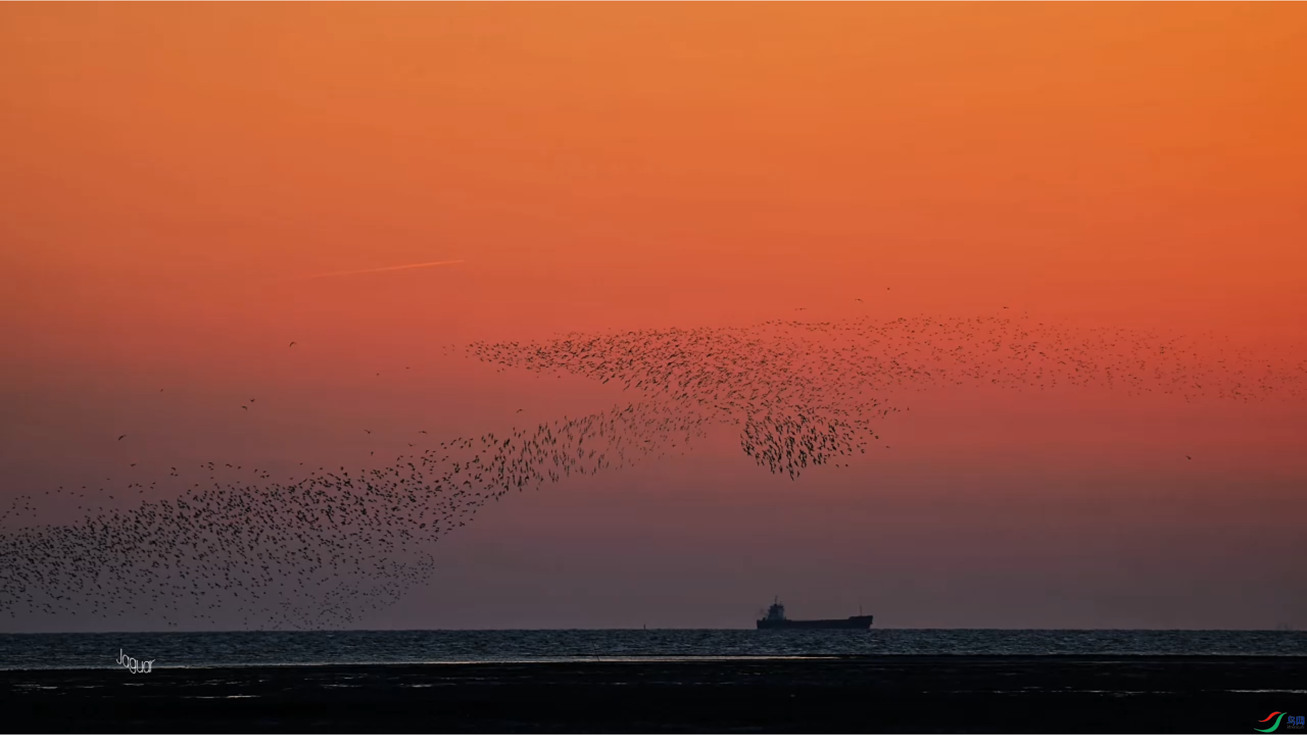 4��9�� (7).png