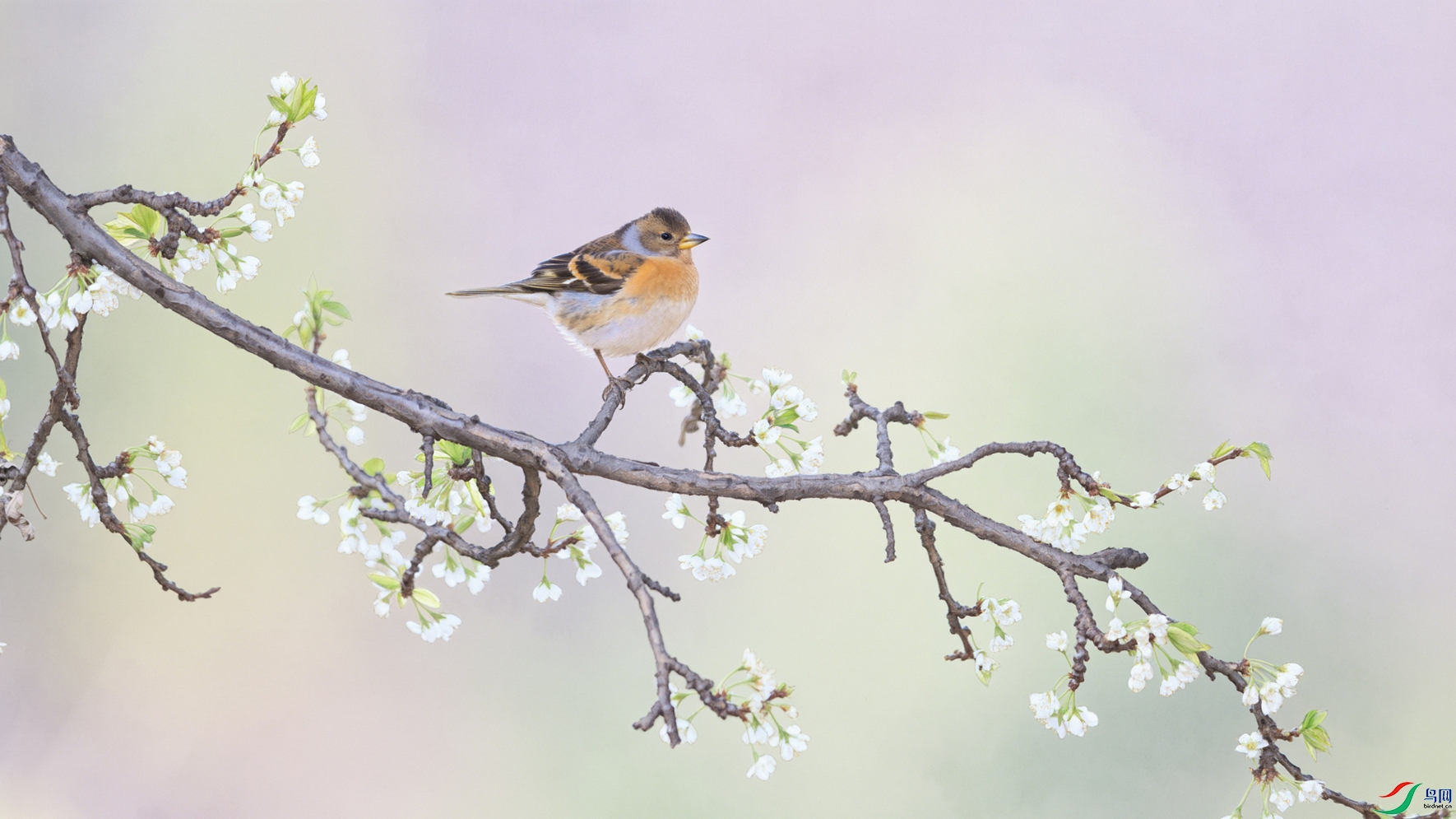 2D8A2030-1 ����.jpg