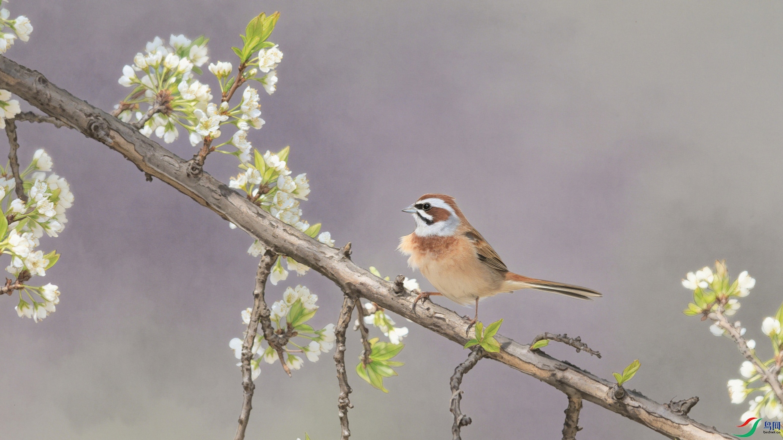 2D8A9958-1 ����.jpg