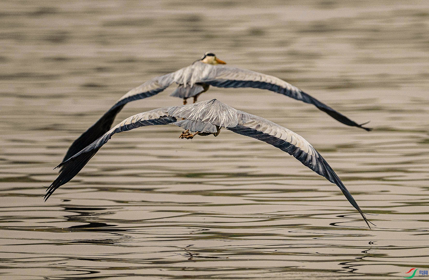 DSC_4358_1.jpg