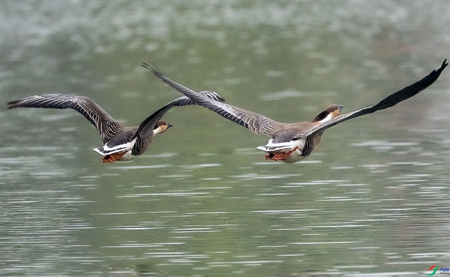 DSC_5098.jpg