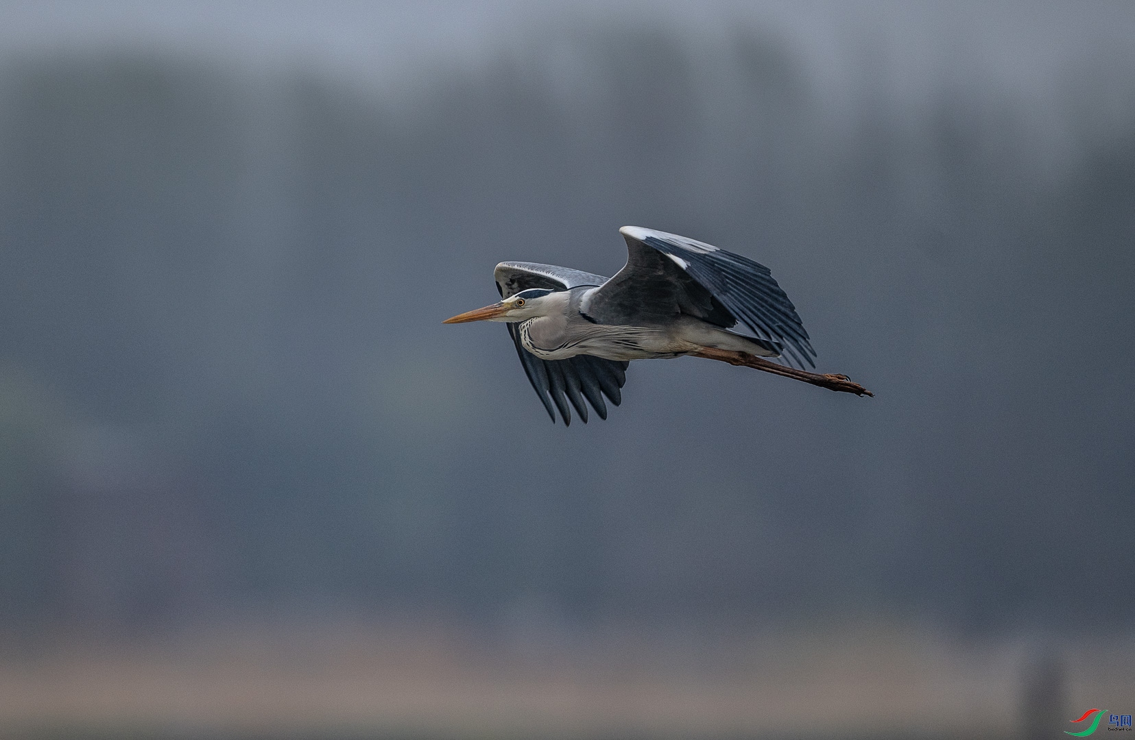 DSC_5105.jpg