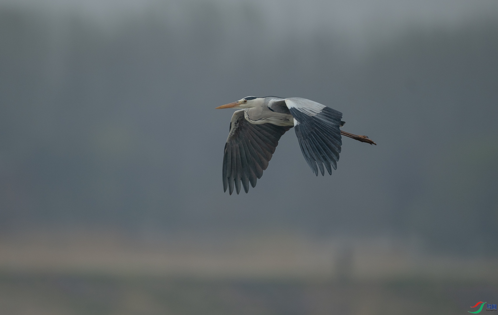 DSC_5104.jpg