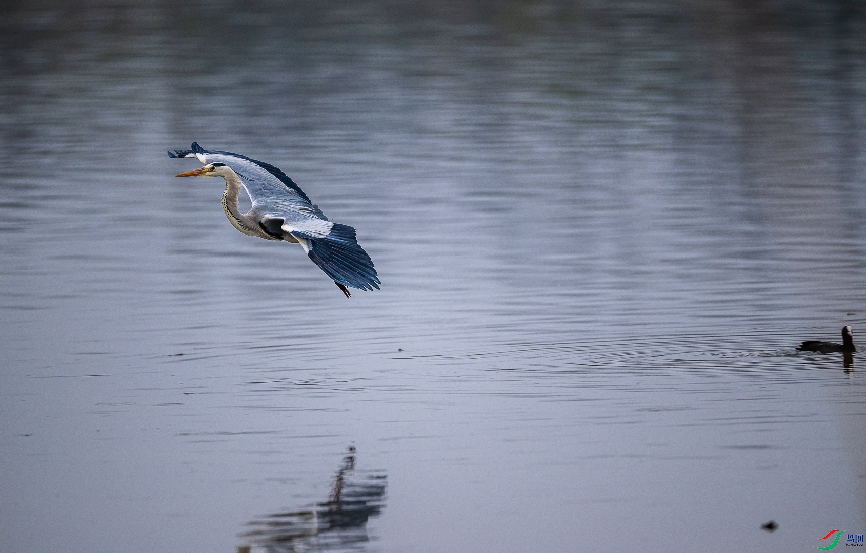 DSC_5117.jpg