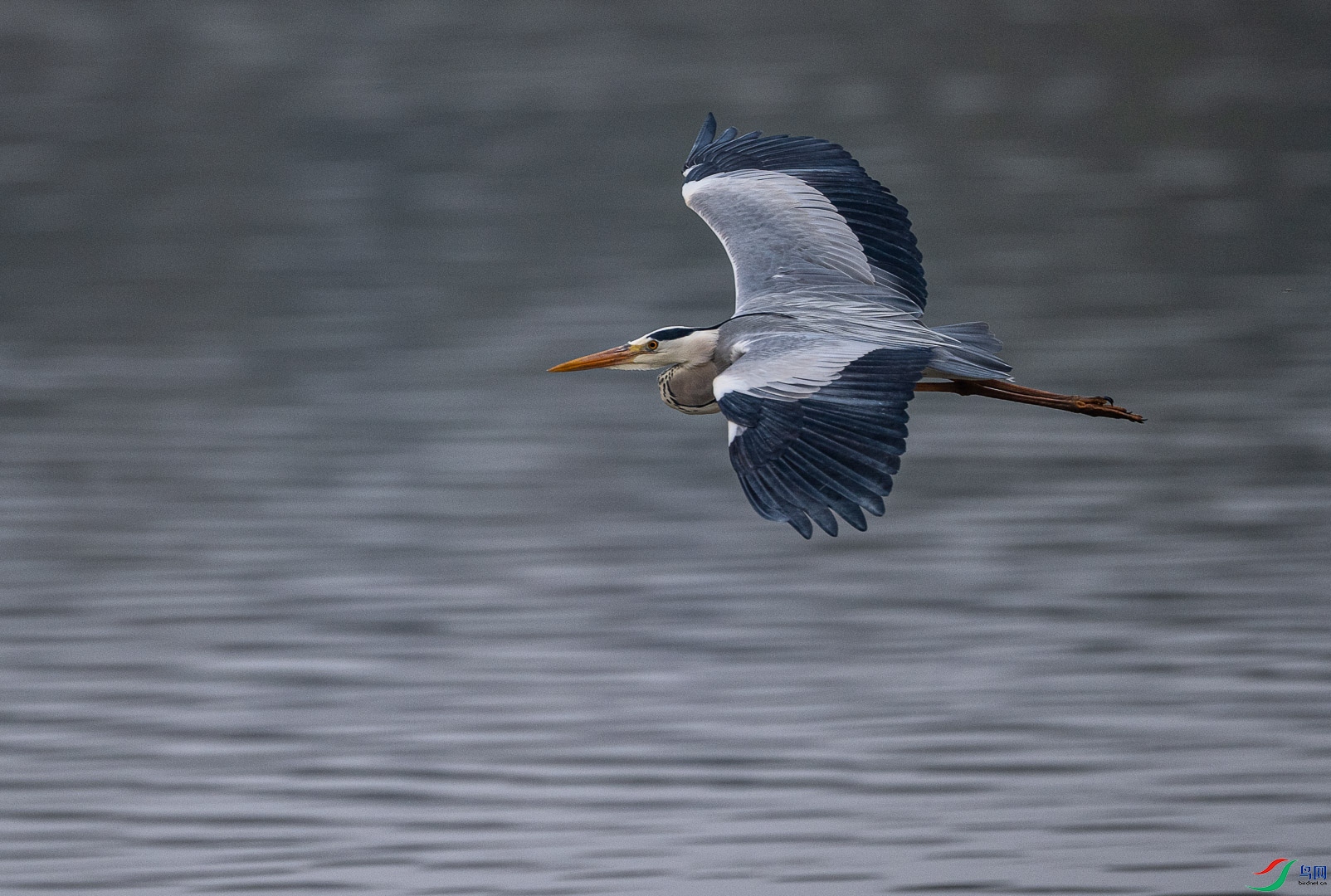 DSC_5114.jpg