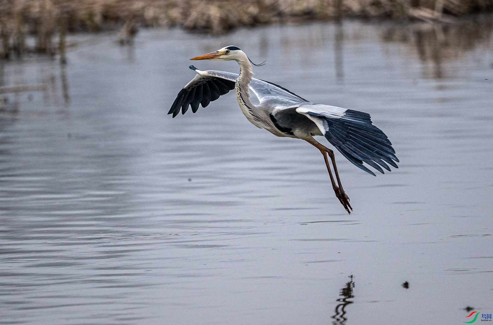 DSC_5122_1.jpg